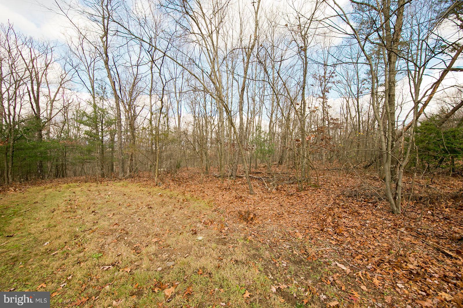 1574 Reynolds Road Cross Junction, VA 22625 - Photo 30 of 44 10 acres!