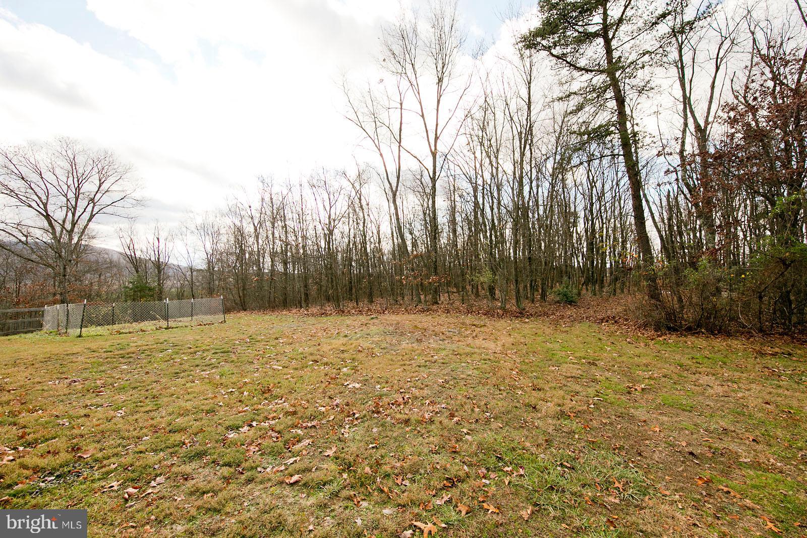 1574 Reynolds Road Cross Junction, VA 22625 - Photo 31 of 44 Backyard
