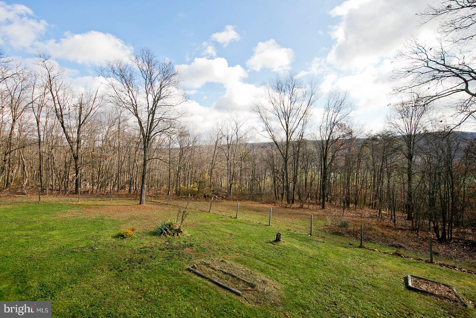 1574 Reynolds Road Cross Junction, VA 22625 - Photo 32 of 44 Backyard