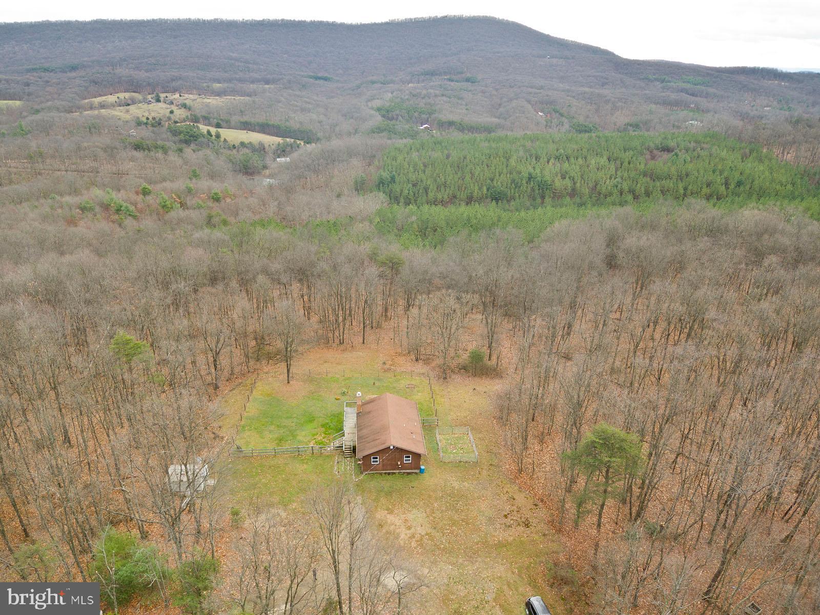 1574 Reynolds Road Cross Junction, VA 22625 - Photo 35 of 44 10 wooded acres!