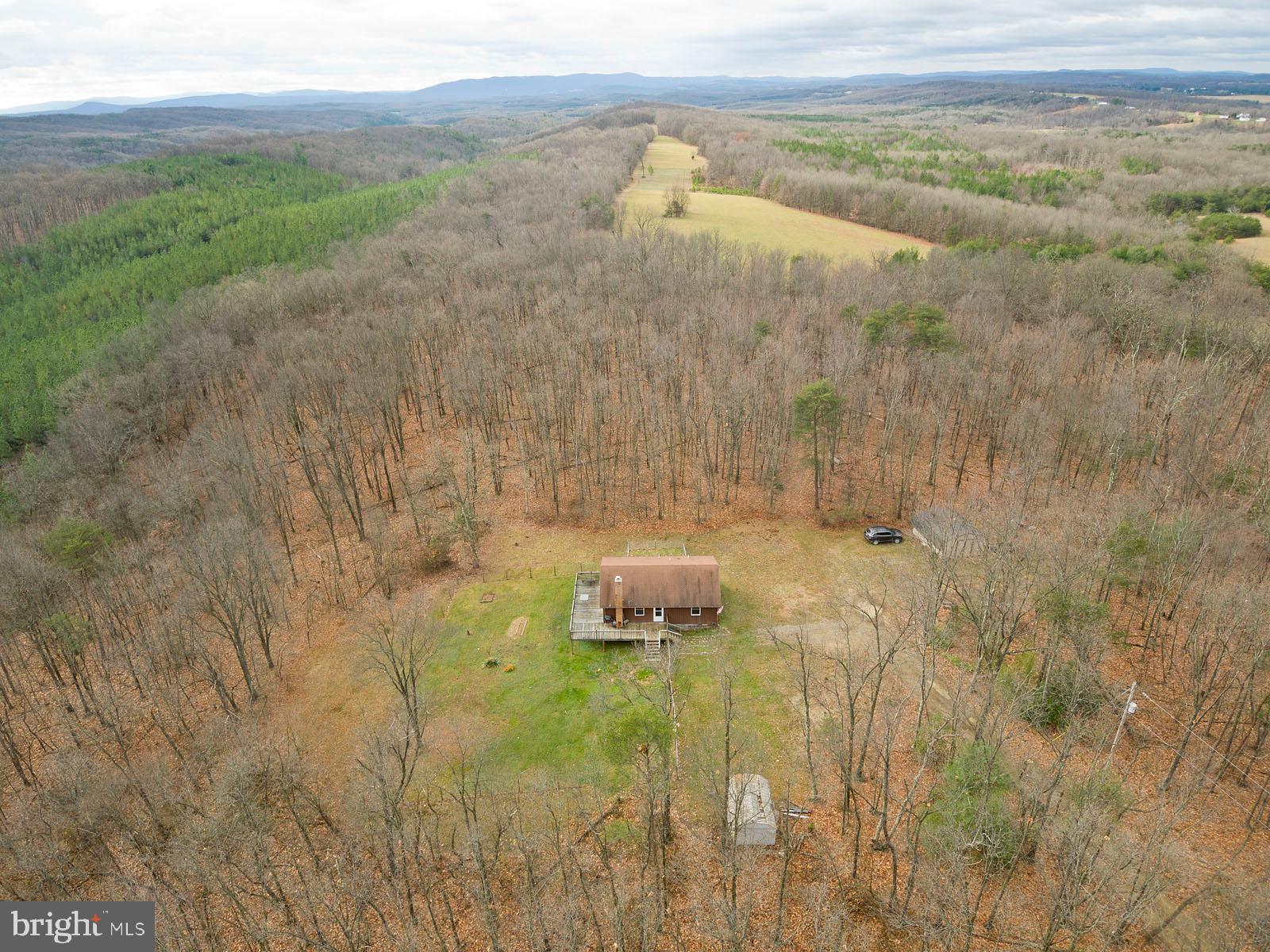 1574 Reynolds Road Cross Junction, VA 22625 - Photo 36 of 44 10 wooded acres!