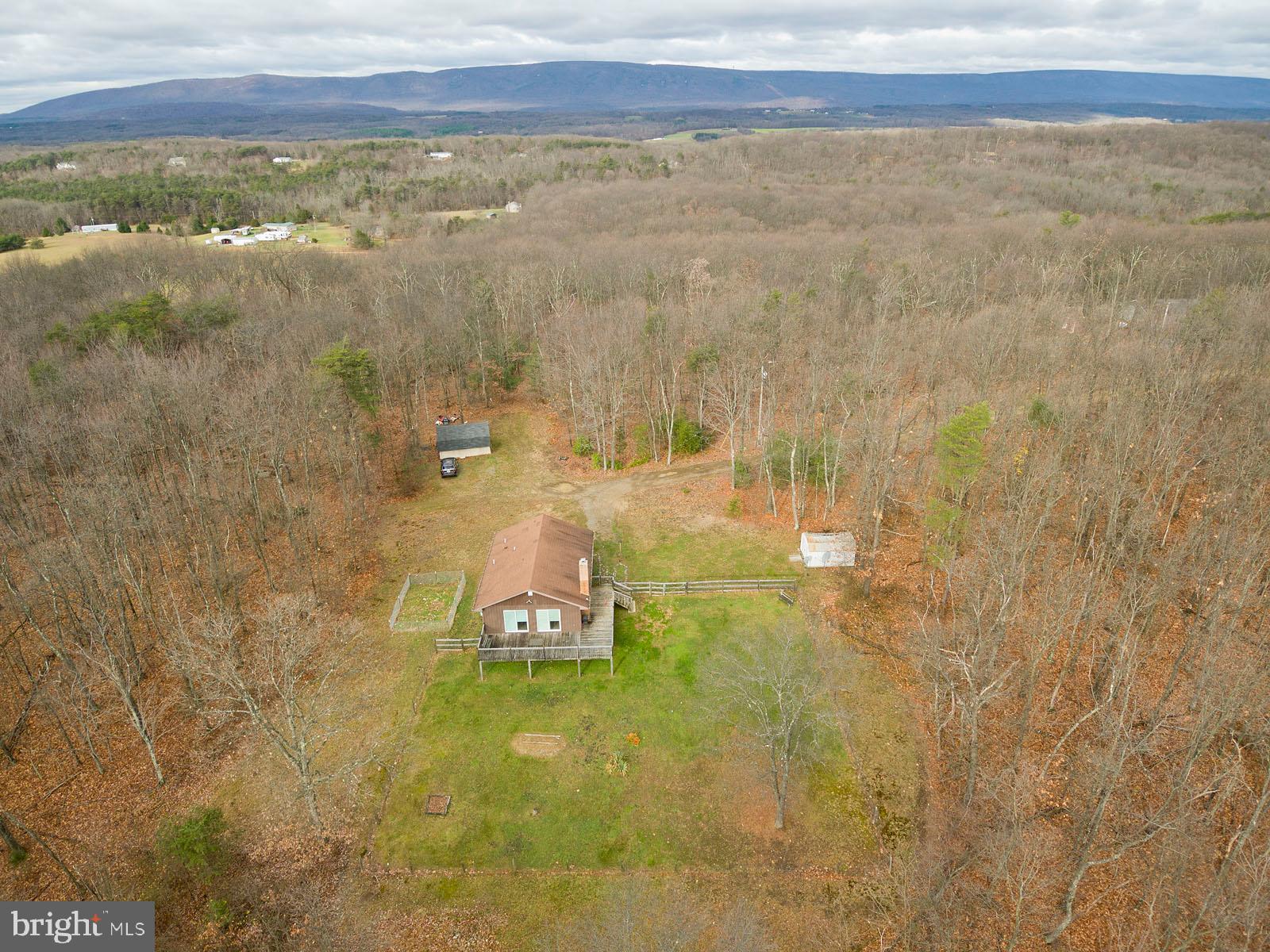 1574 Reynolds Road Cross Junction, VA 22625 - Photo 38 of 44 10 wooded acres!