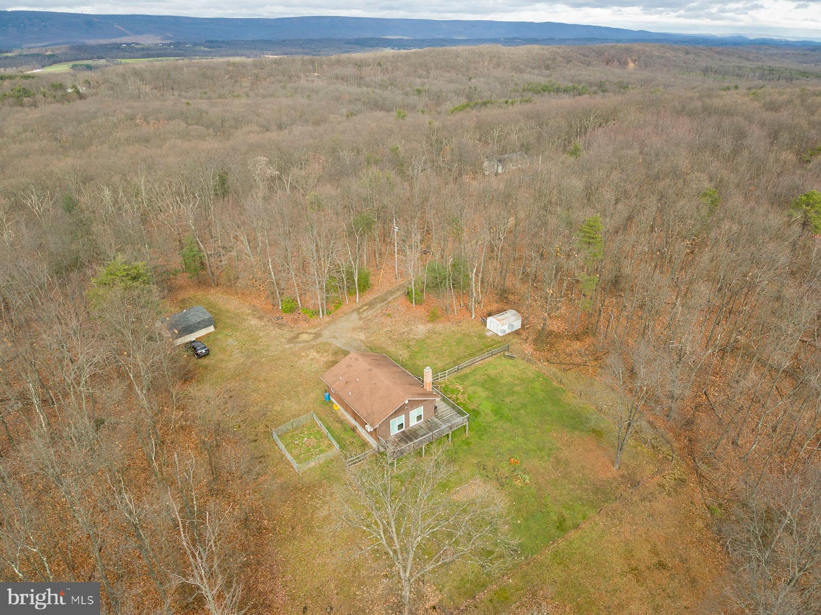 1574 Reynolds Road Cross Junction, VA 22625 - Photo 39 of 44 10 wooded acres!