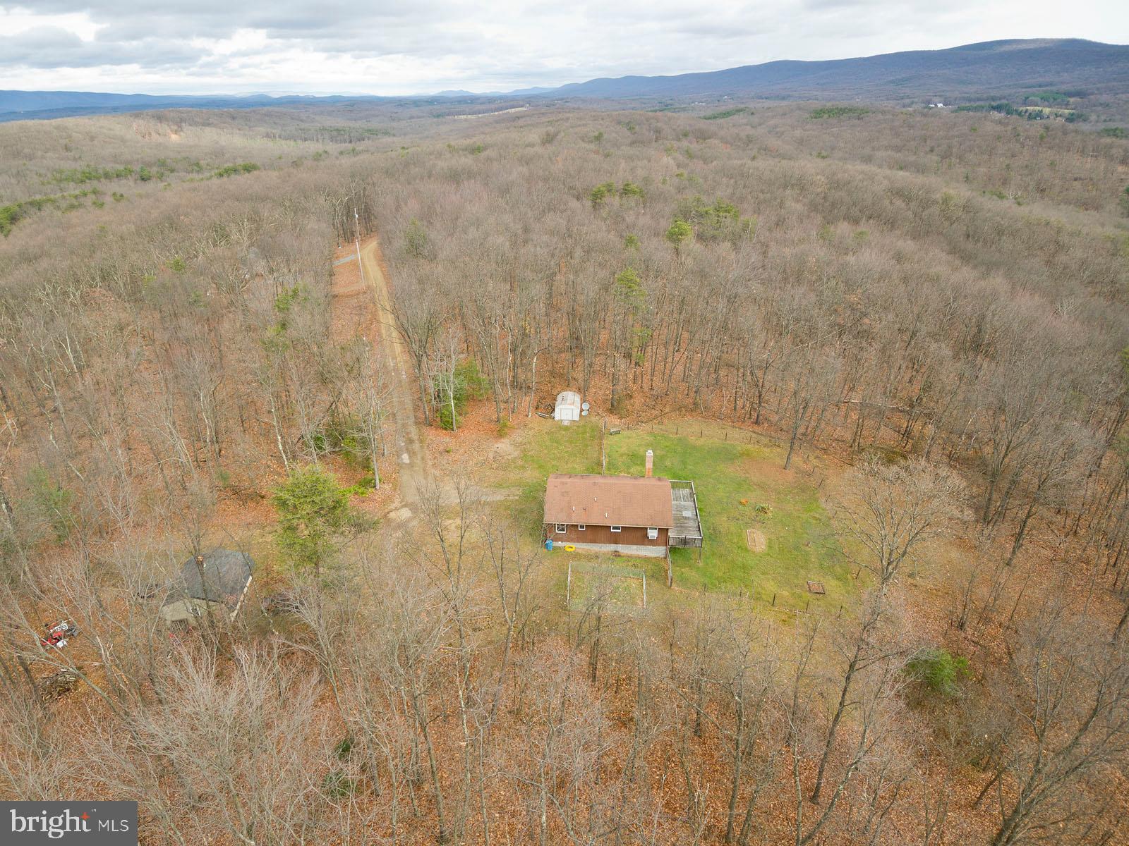 1574 Reynolds Road Cross Junction, VA 22625 - Photo 40 of 44 10 wooded acres!