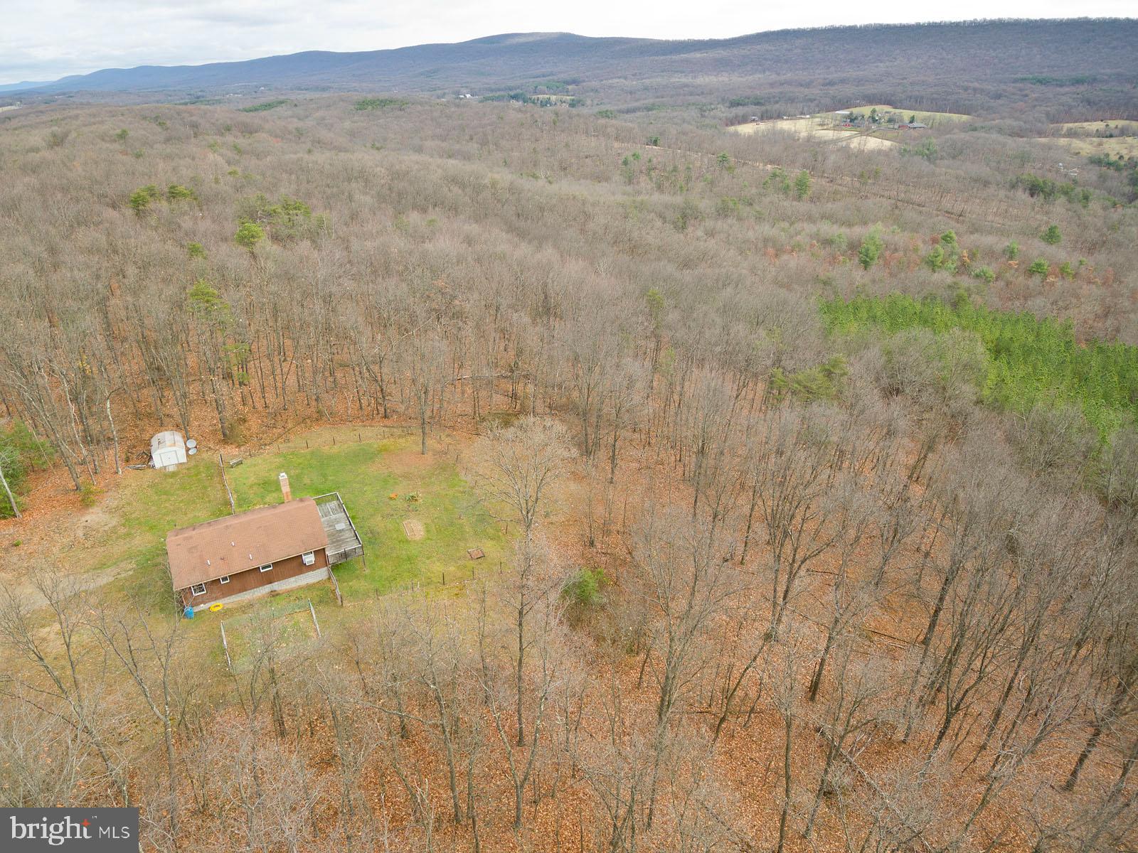 1574 Reynolds Road Cross Junction, VA 22625 - Photo 41 of 44 10 wooded acres!