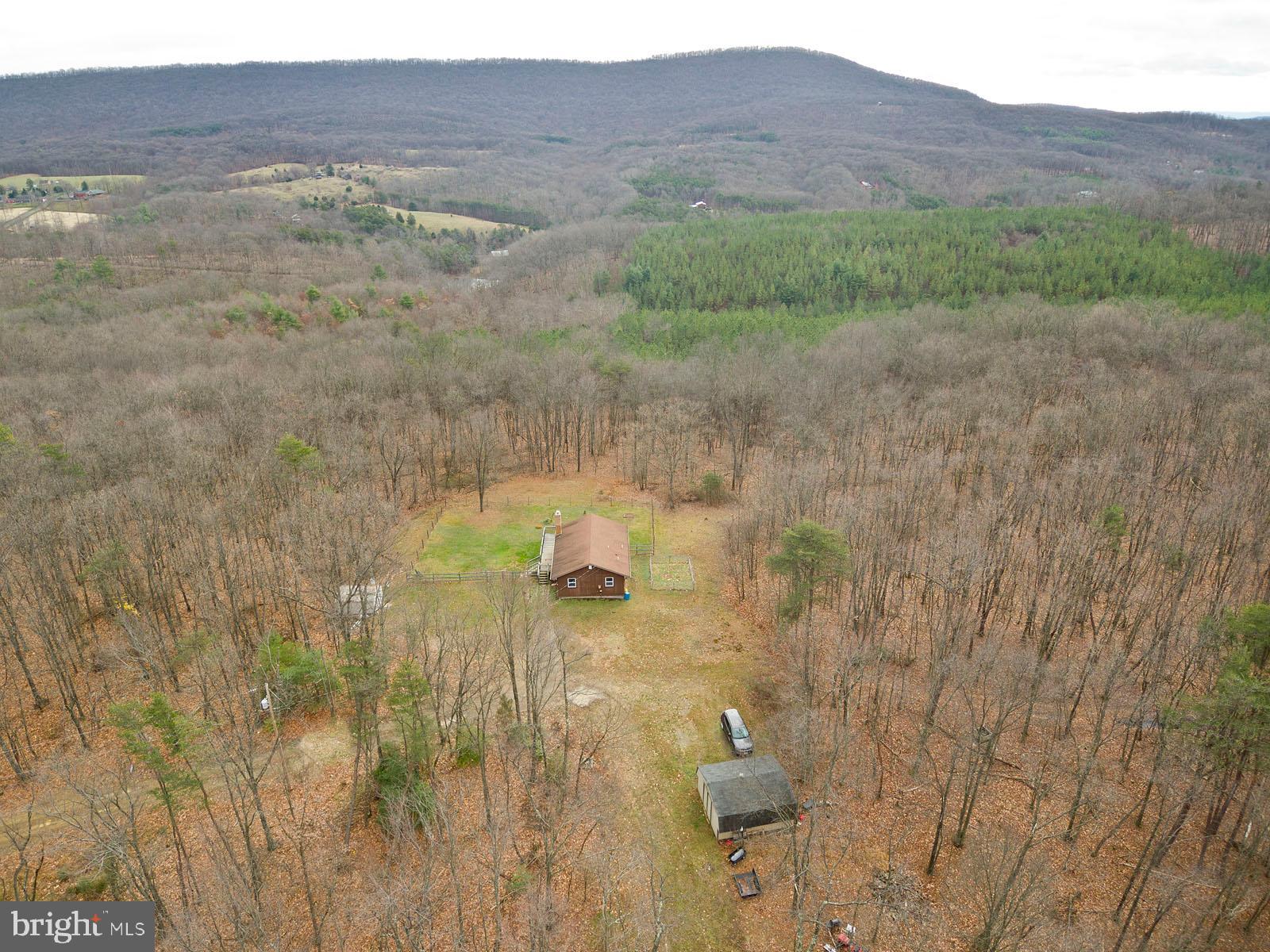 1574 Reynolds Road Cross Junction, VA 22625 - Photo 42 of 44 10 wooded acres!