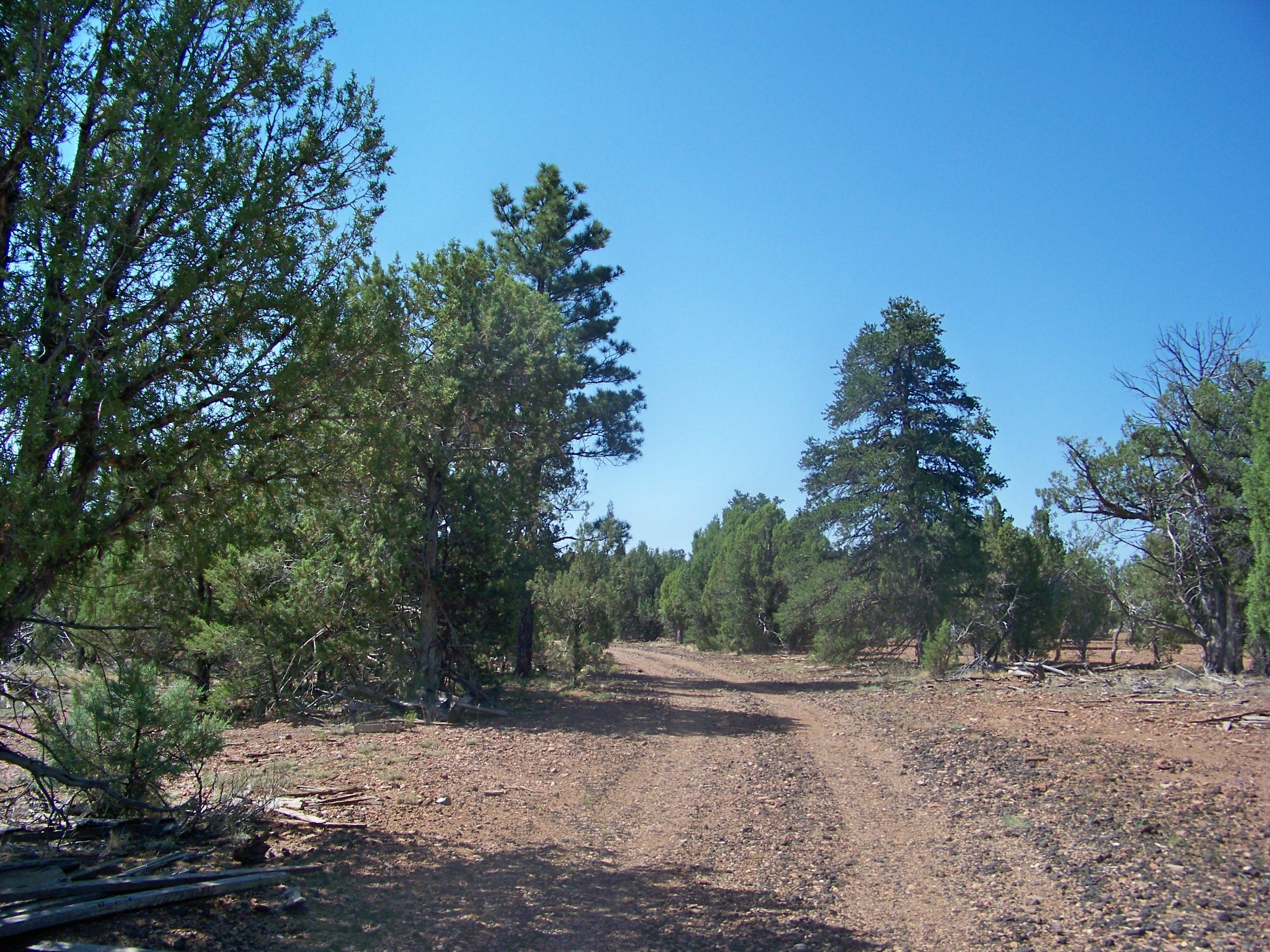 30 Pinedale Taylor, AZ 85939 - Photo 1 of 16