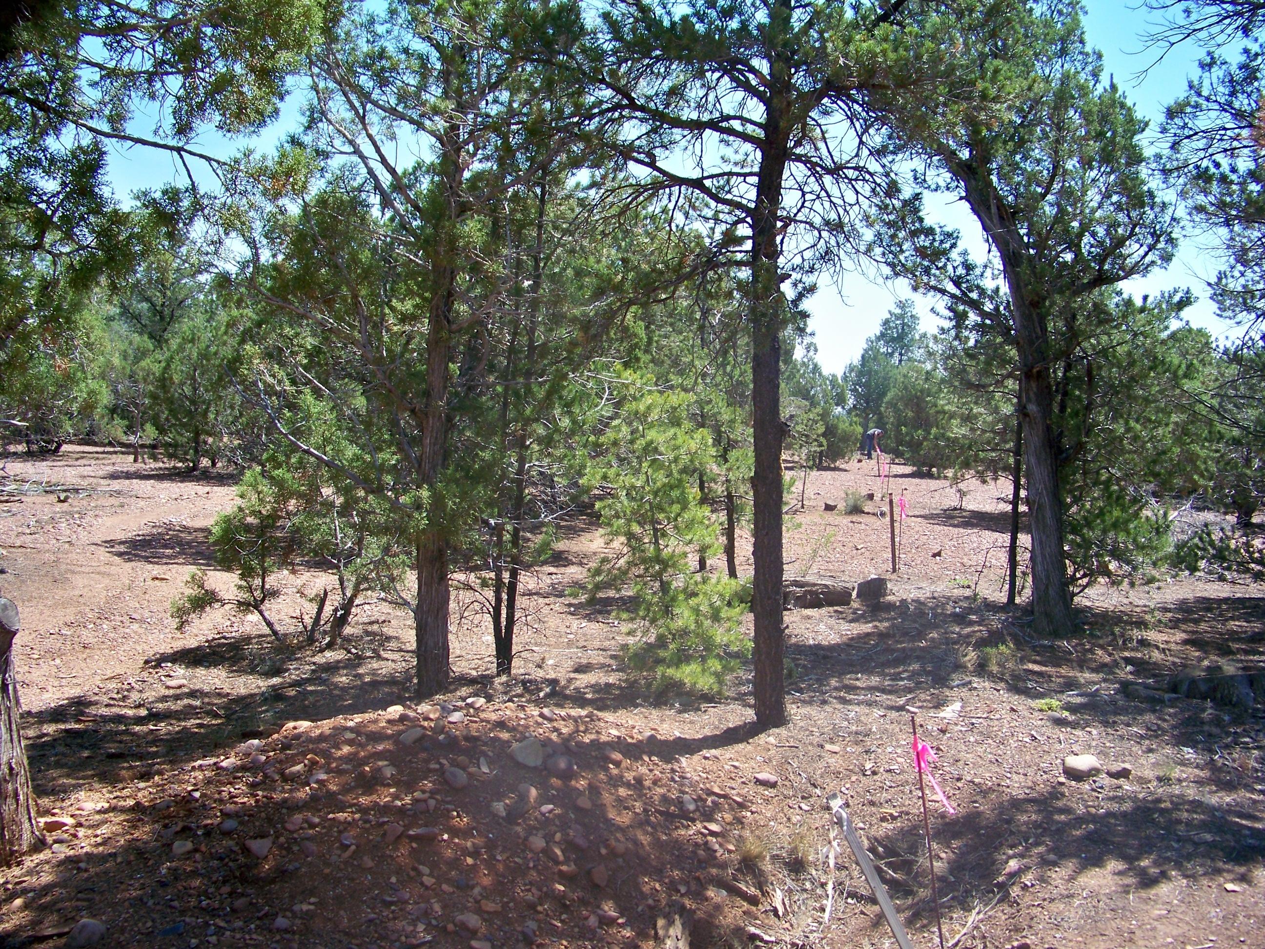 30 Pinedale Taylor, AZ 85939 - Photo 11 of 16