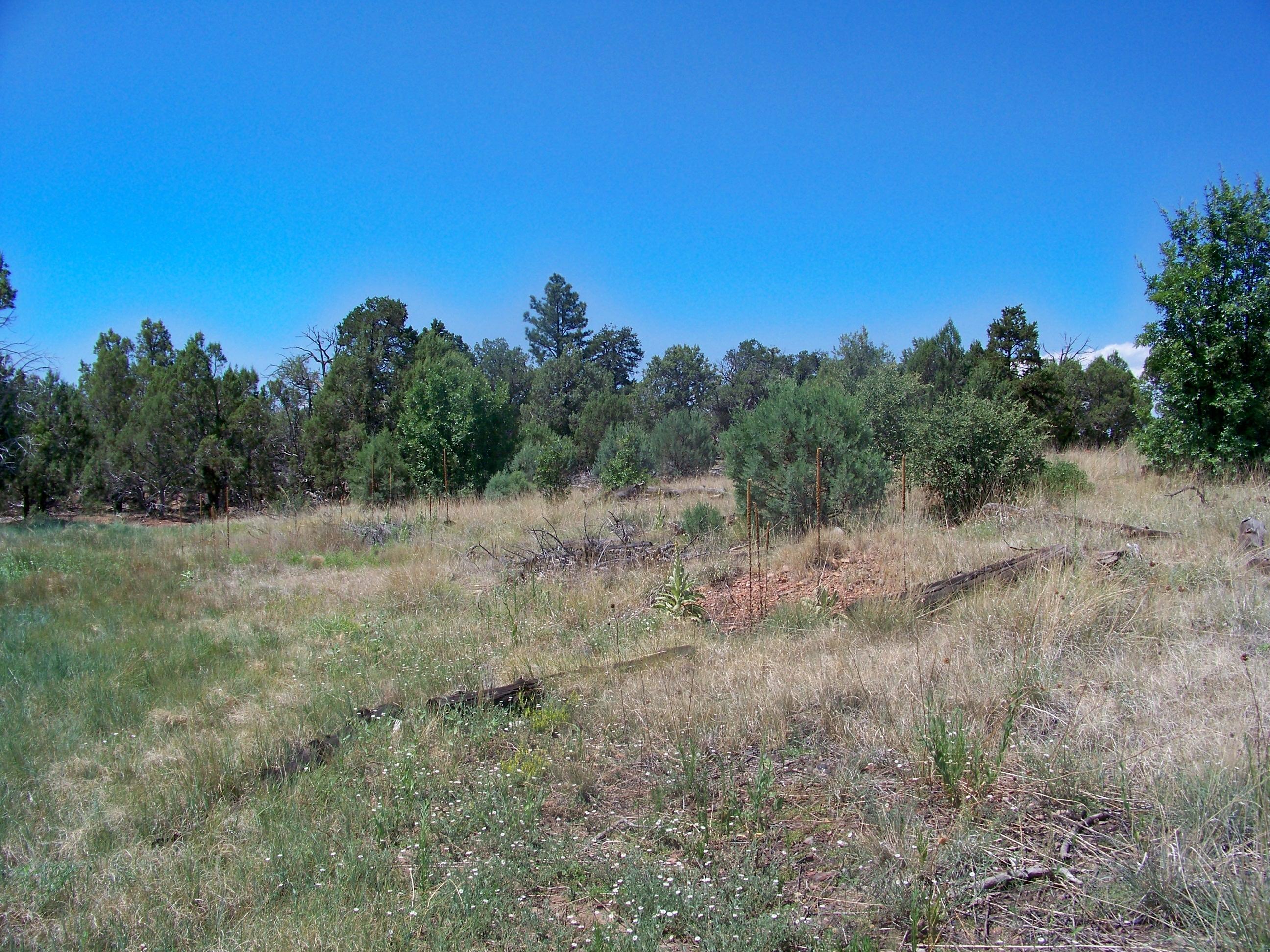 30 Pinedale Taylor, AZ 85939 - Photo 16 of 16