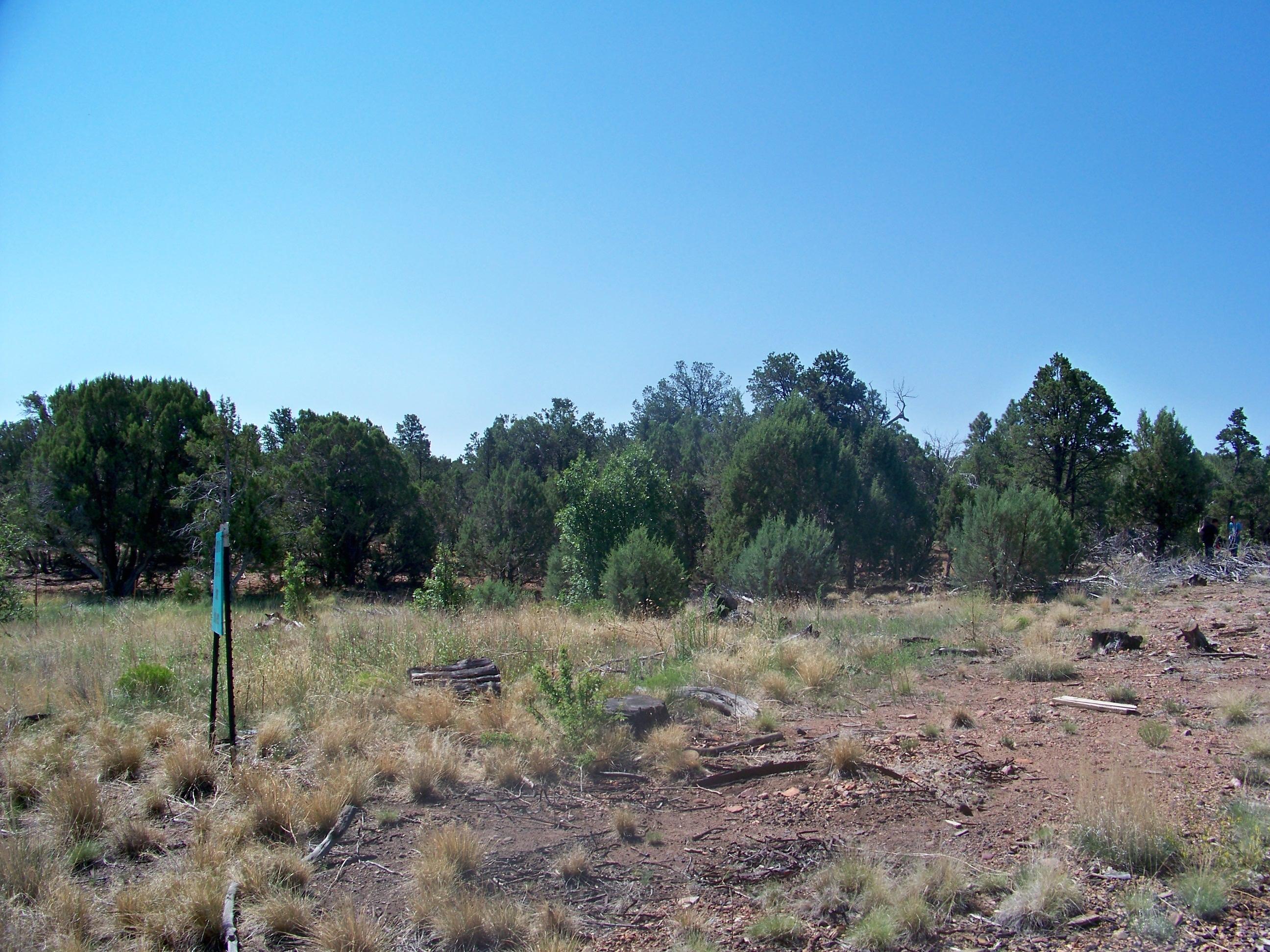 30 Pinedale Taylor, AZ 85939 - Photo 4 of 16