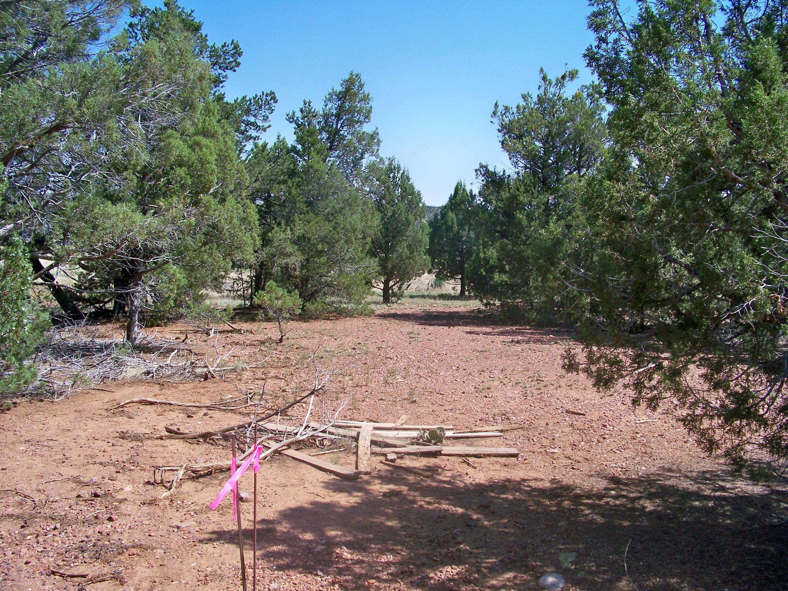 30 Pinedale Taylor, AZ 85939 - Photo 7 of 16