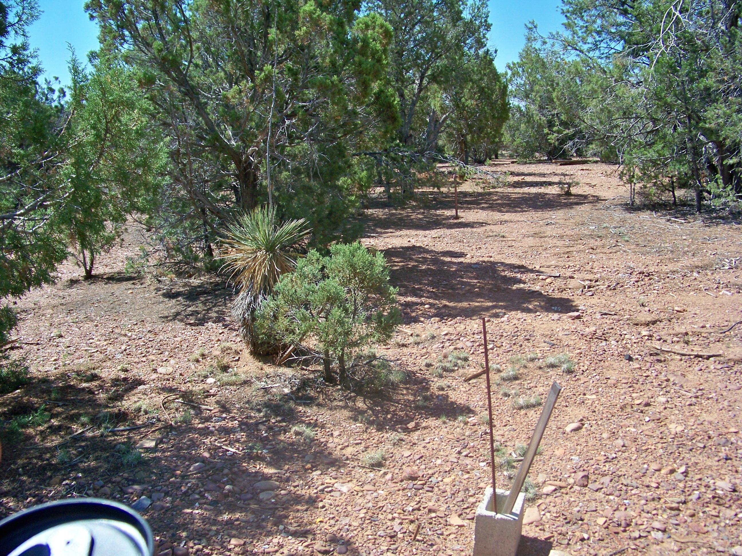 30 Pinedale Taylor, AZ 85939 - Photo 10 of 16