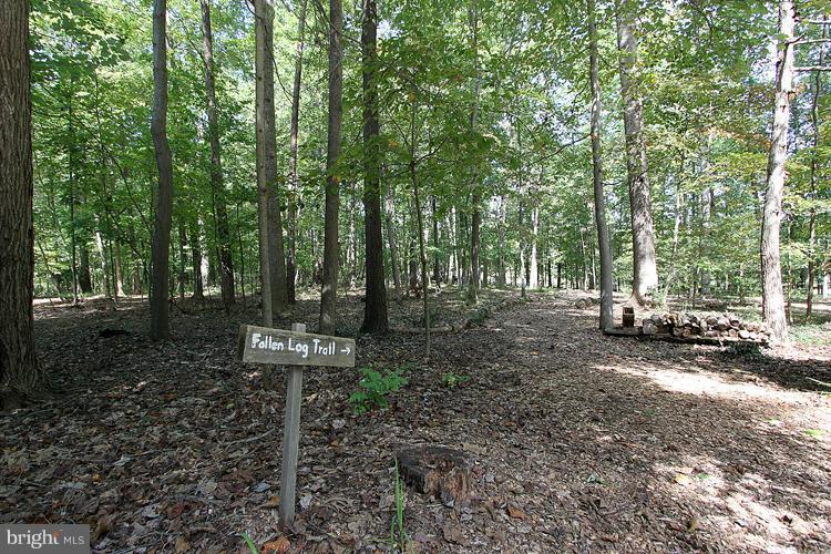 1200 Ashton Road Ashton, MD 20861 - Photo 22 of 30 a view of a forest with trees in the background