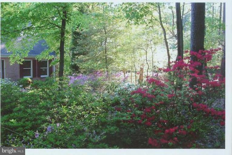 1200 Ashton Road Ashton, MD 20861 - Photo 25 of 30 a view of a garden with flowers