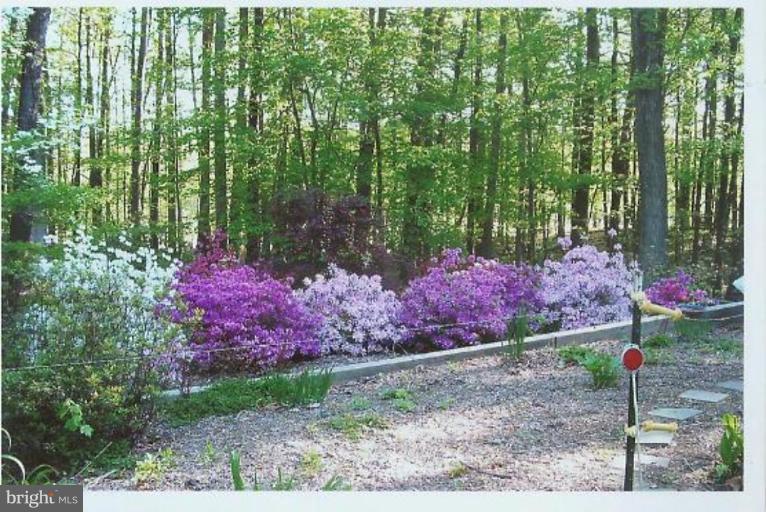 1200 Ashton Road Ashton, MD 20861 - Photo 26 of 30 a view of a garden