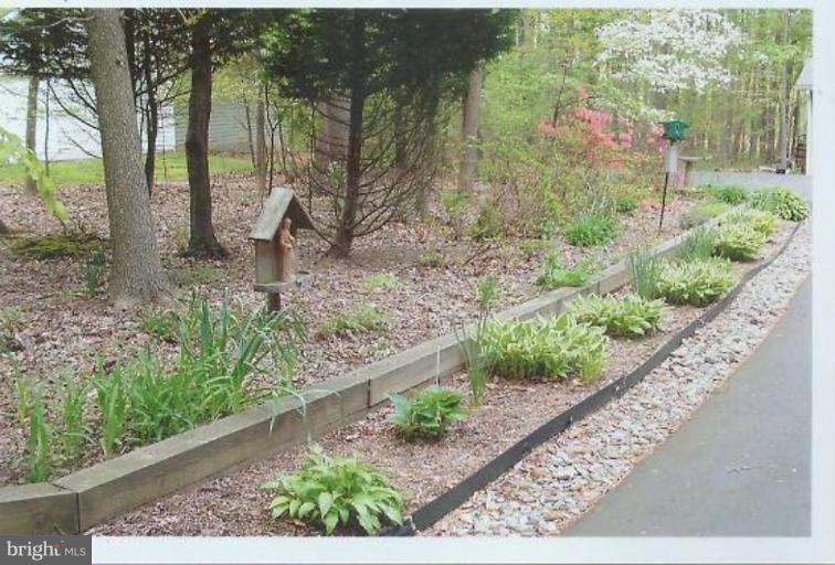 1200 Ashton Road Ashton, MD 20861 - Photo 28 of 30 a view of a garden with a large tree