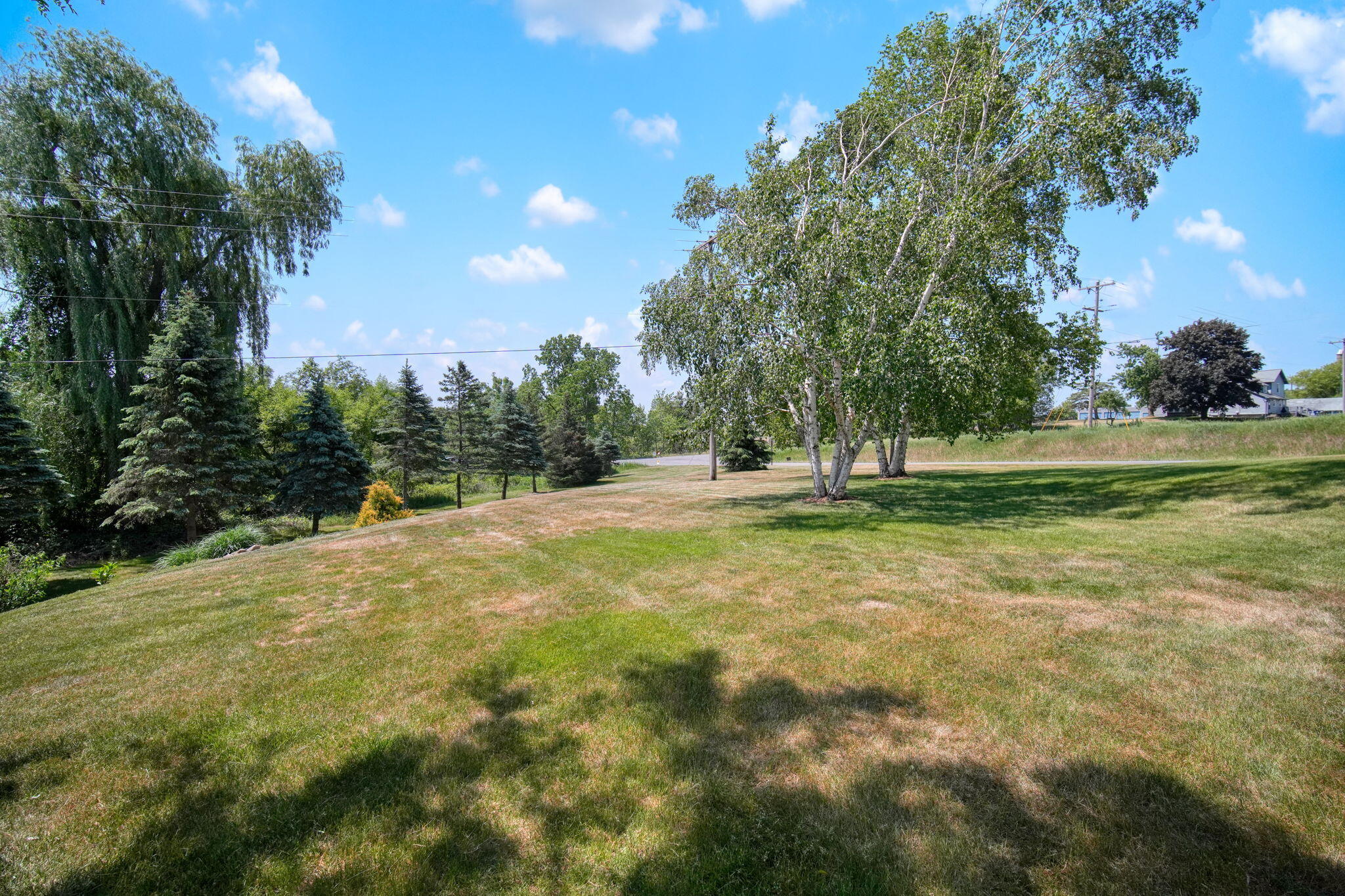 12990 Hayes Road Brooklyn, MI 49230 - Photo 32 of 42 32-web-or-mls-DSC01045