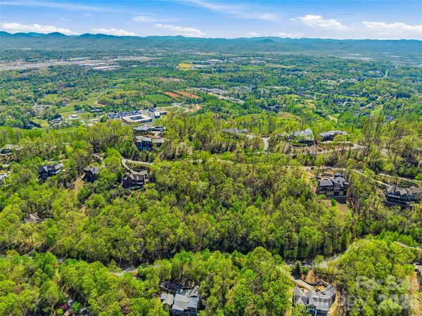 a view of a city with lush green forest