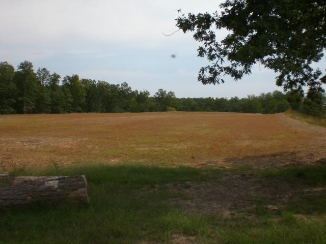 5706 Bending Chestnut Road Franklin, TN 37064 - Photo 2 of 12