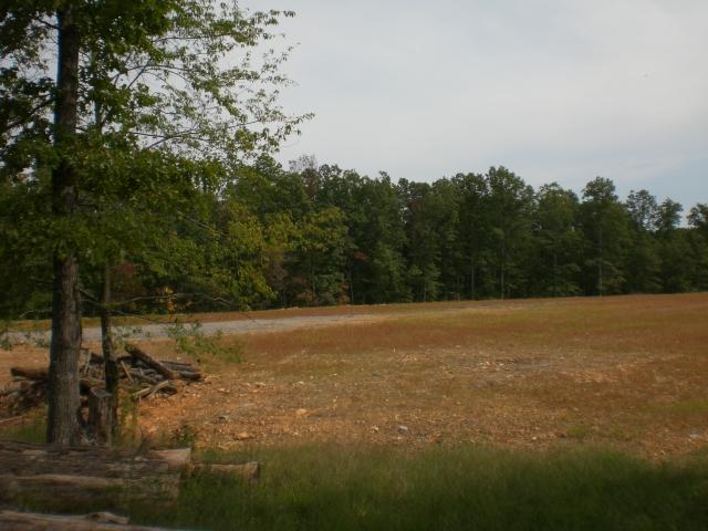 5706 Bending Chestnut Road Franklin, TN 37064 - Photo 3 of 12