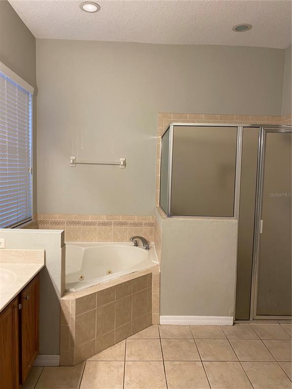 13638 Ancilla Boulevard Windermere, FL 34786 - Photo 12 of 16 a bathroom with a bathtub