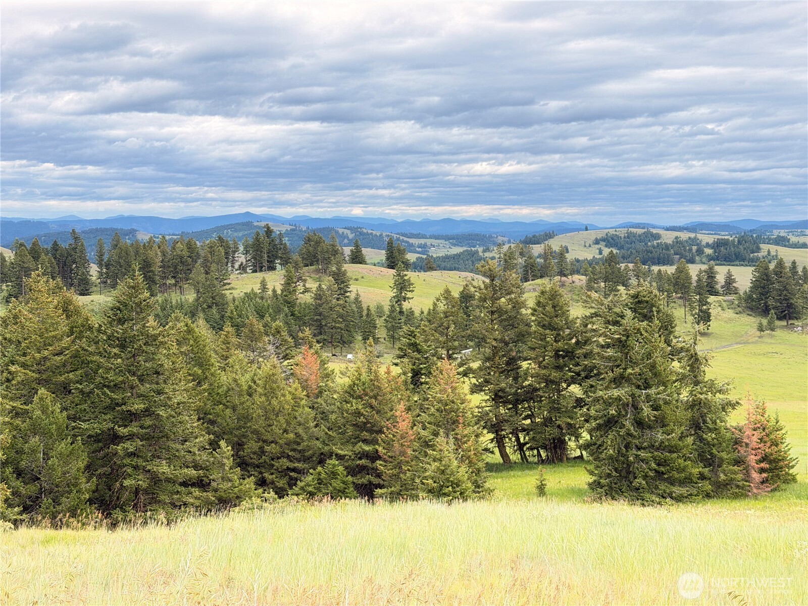12 South Teal Lake Road Oroville, WA 98844 - Photo 27 of 35