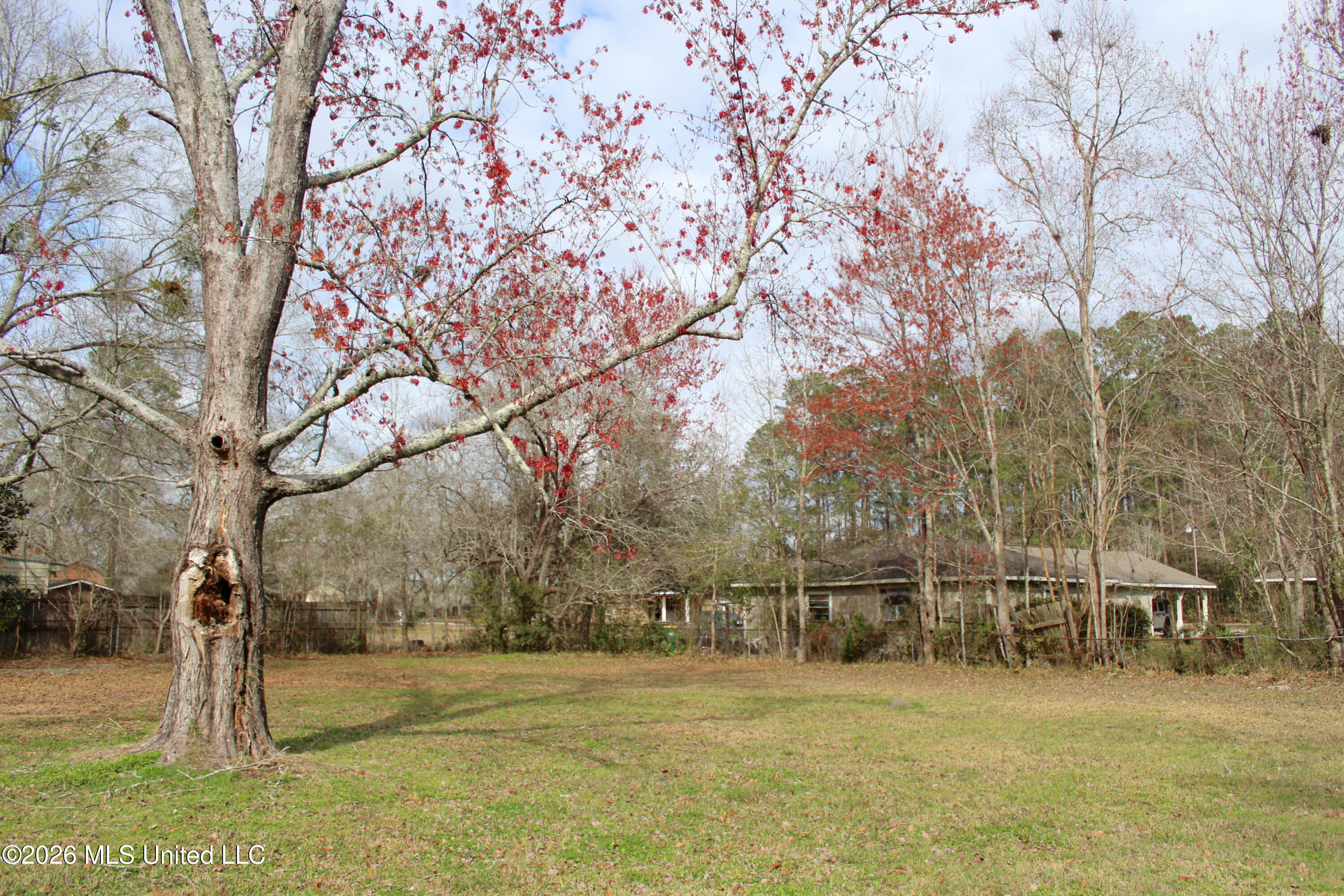 10108 Ridgeline Drive Moss Point, MS 39562 - Photo 16 of 17 Tezza-7016