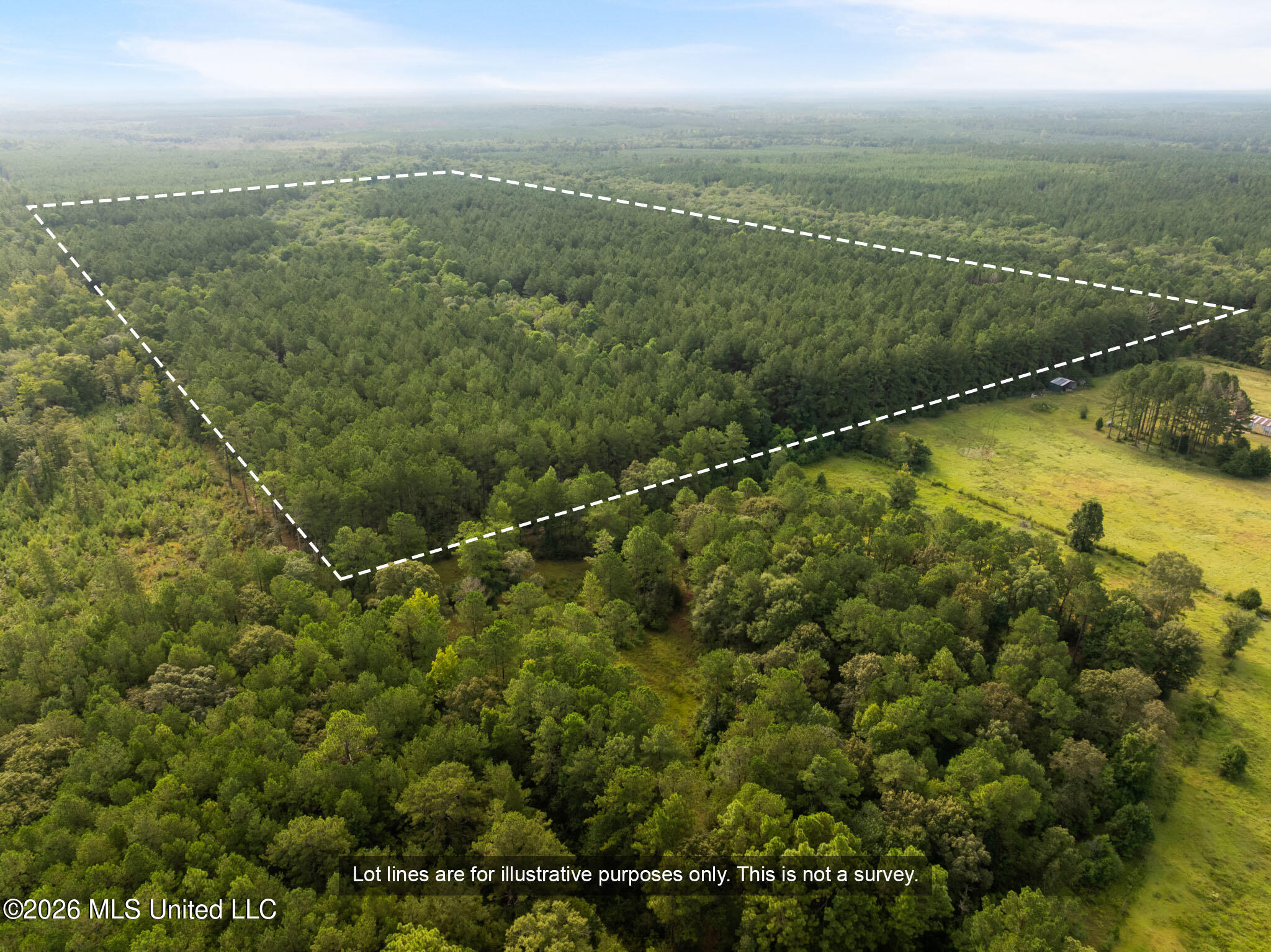 Lowe Road Lumberton, MS 39455 - Photo 3 of 18 80-Lamar-Arthur-Lowe-Rd-102
