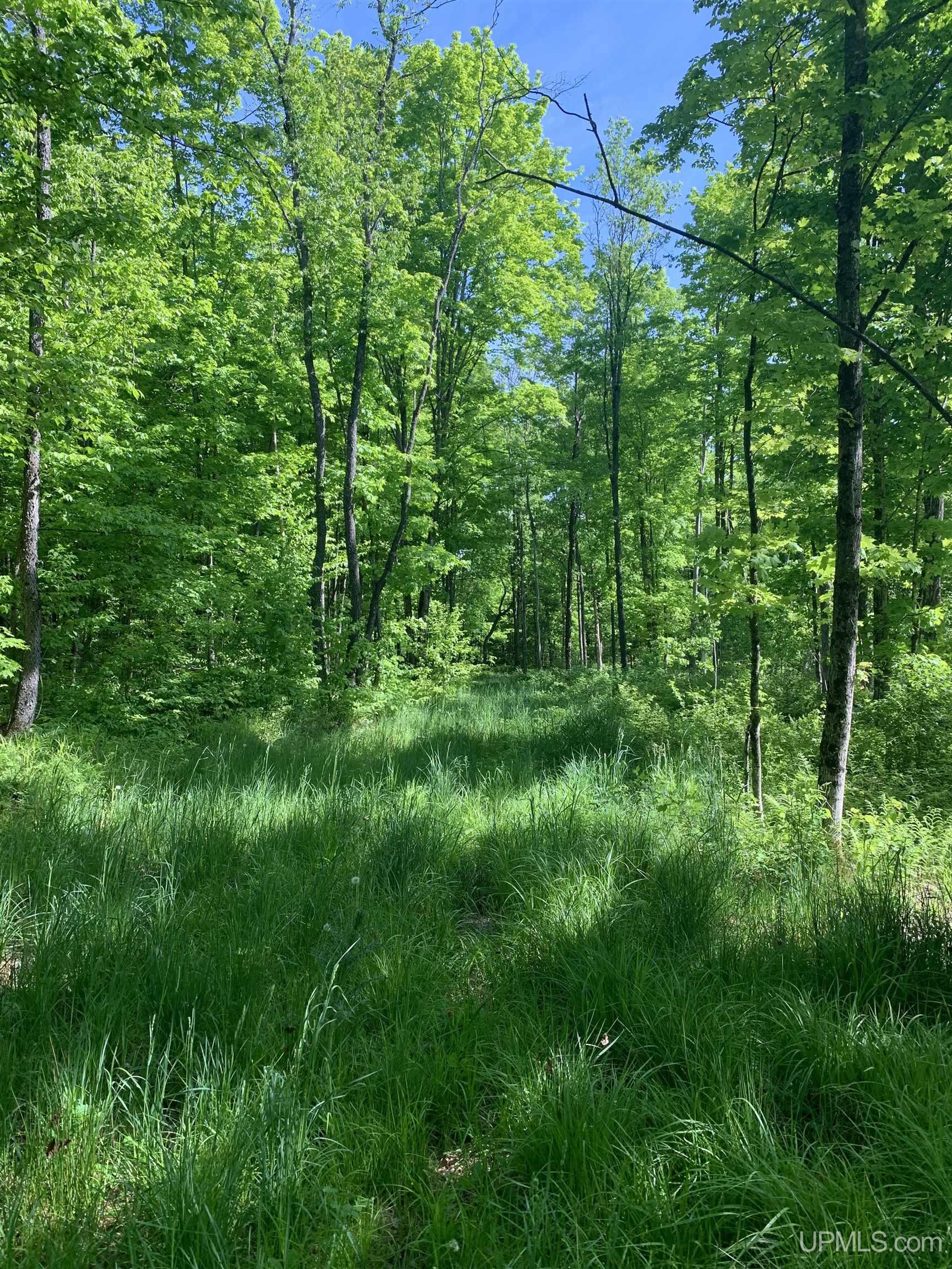 E3985 East 23rd Road Chatham, MI 49816 - Photo 12 of 33