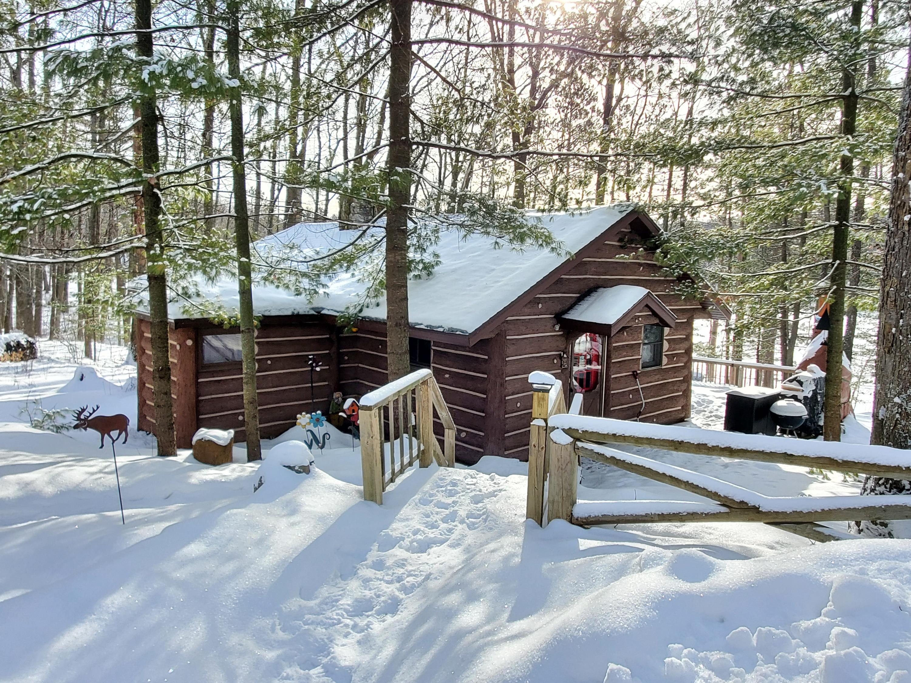 161 Loon Lake Loop Road Rose City, MI 48654 - Photo 69 of 69 Gallery Image 69
