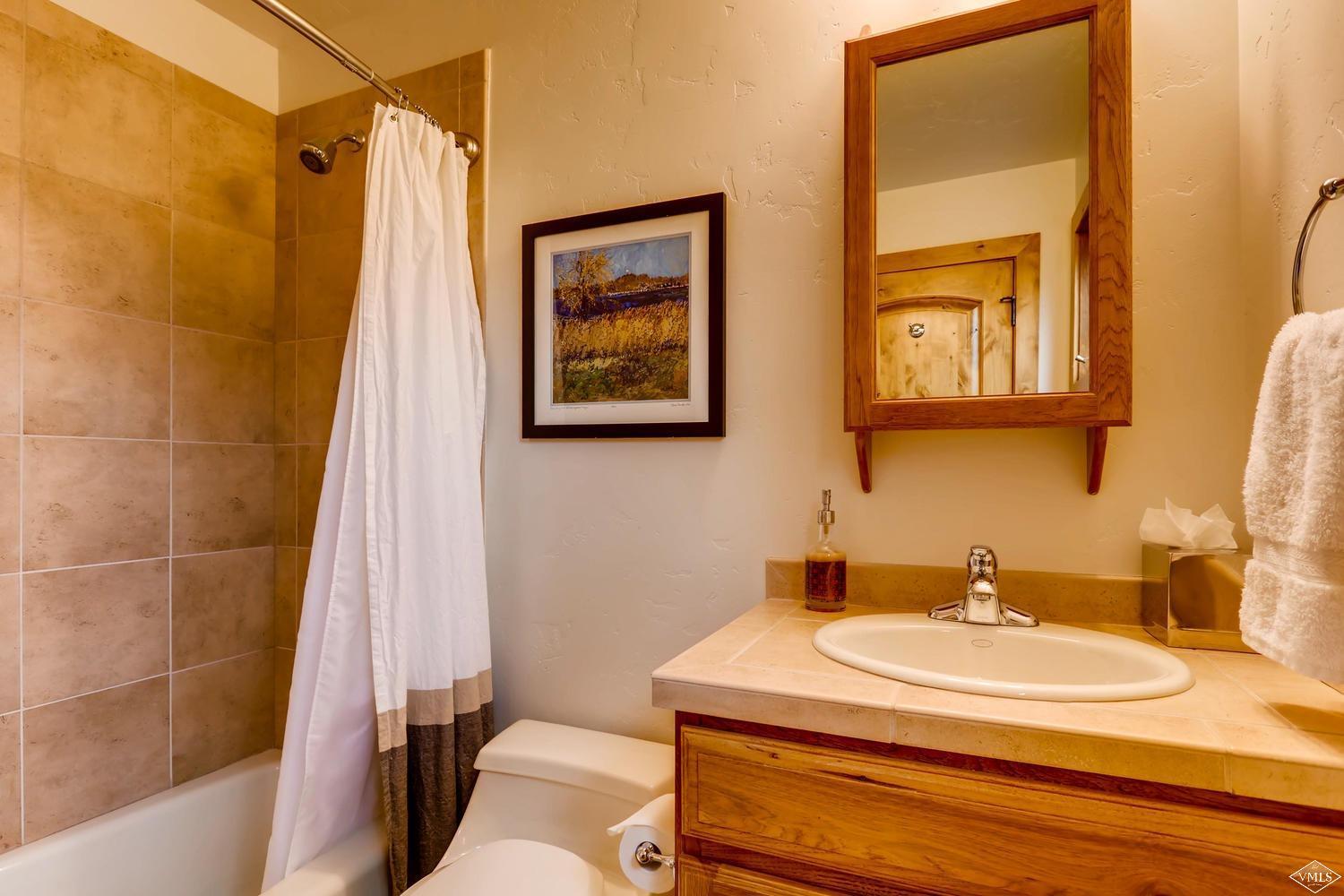 1356 Lake Creek Road Edwards, CO 81632 - Photo 21 of 24 Additional Photo