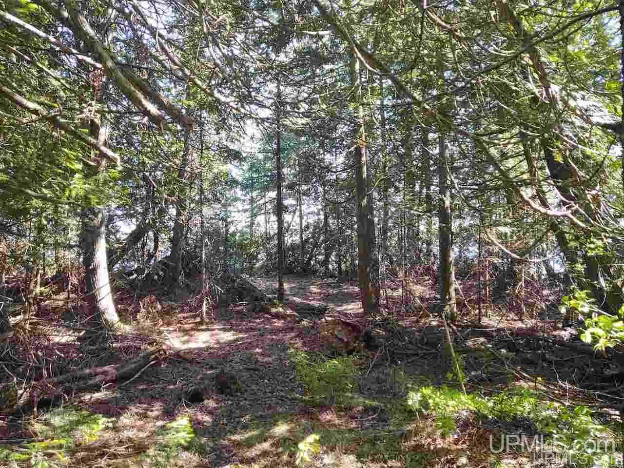 Lot 15 Lake Medora Road, Unit 15 Mohawk, MI 49950 - Photo 8 of 16