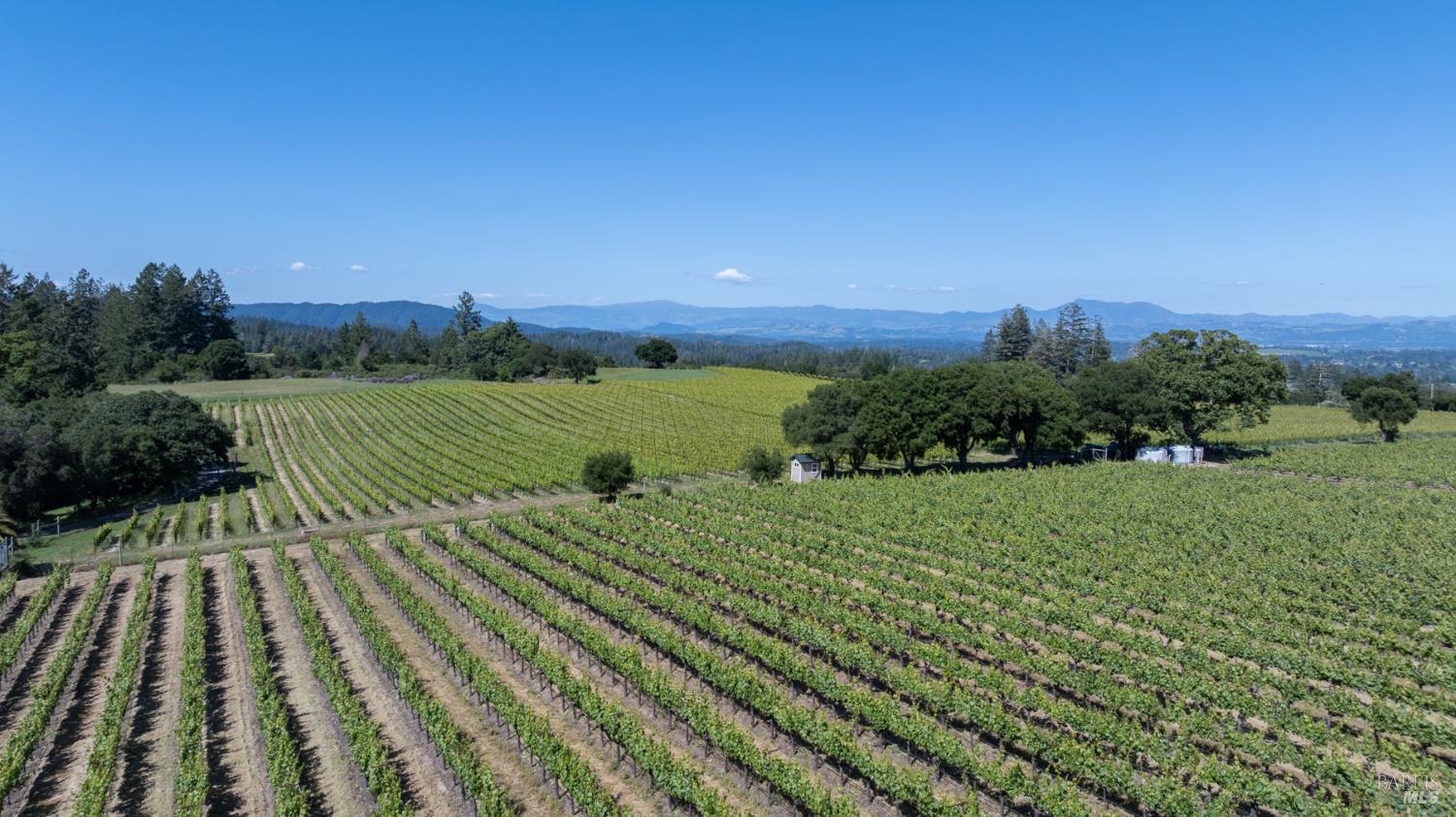 14640 Morelli Lane Sebastopol, CA 95472 - Photo 7 of 60