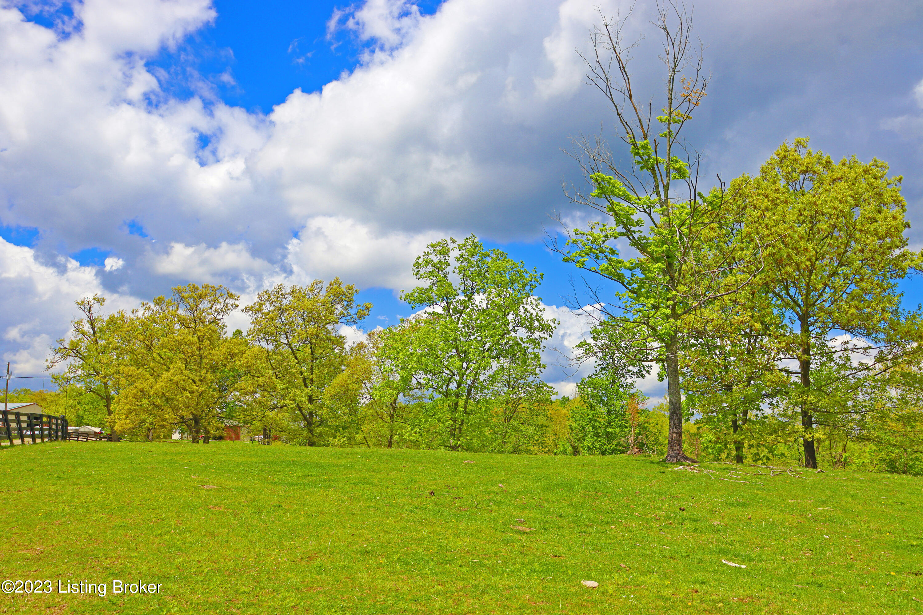 1771 Lebanon Ridge Road Bagdad, KY 40003 - Photo 50 of 65 Front Pasture #3