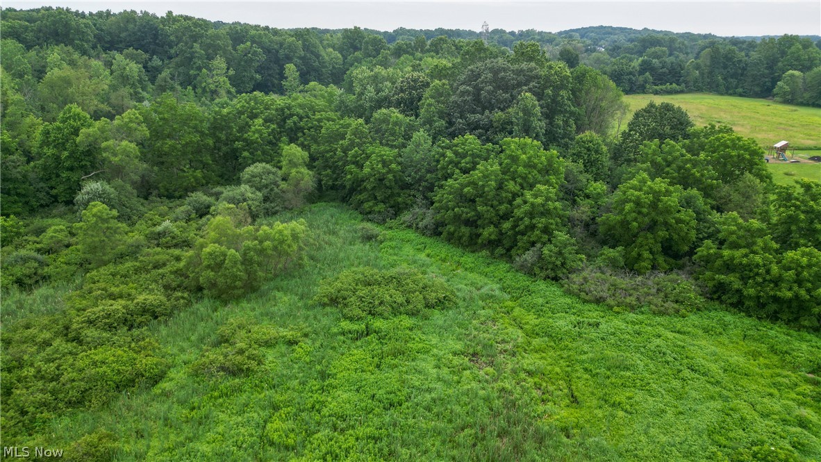 0 Pontius Road Mogadore, OH 44260 - Photo 19 of 32 Gallery Image 19