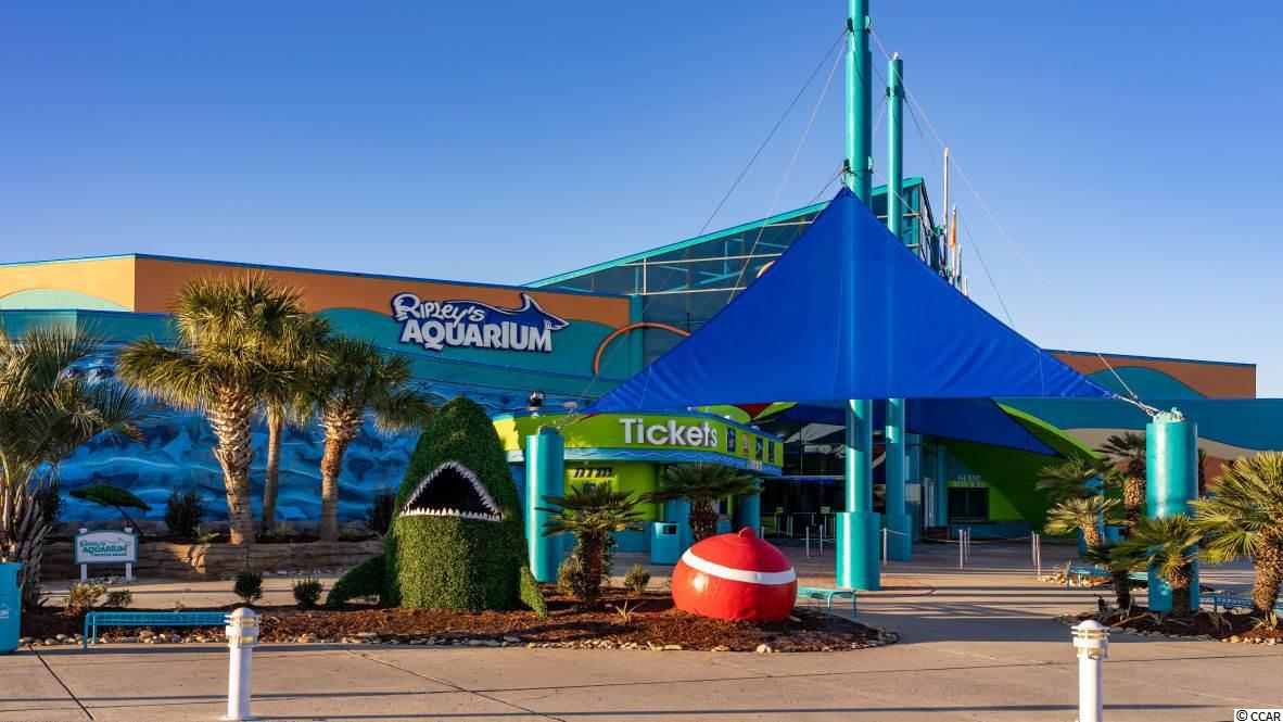 1047 Red Tide Street Myrtle Beach, SC 29588 - Photo 35 of 36