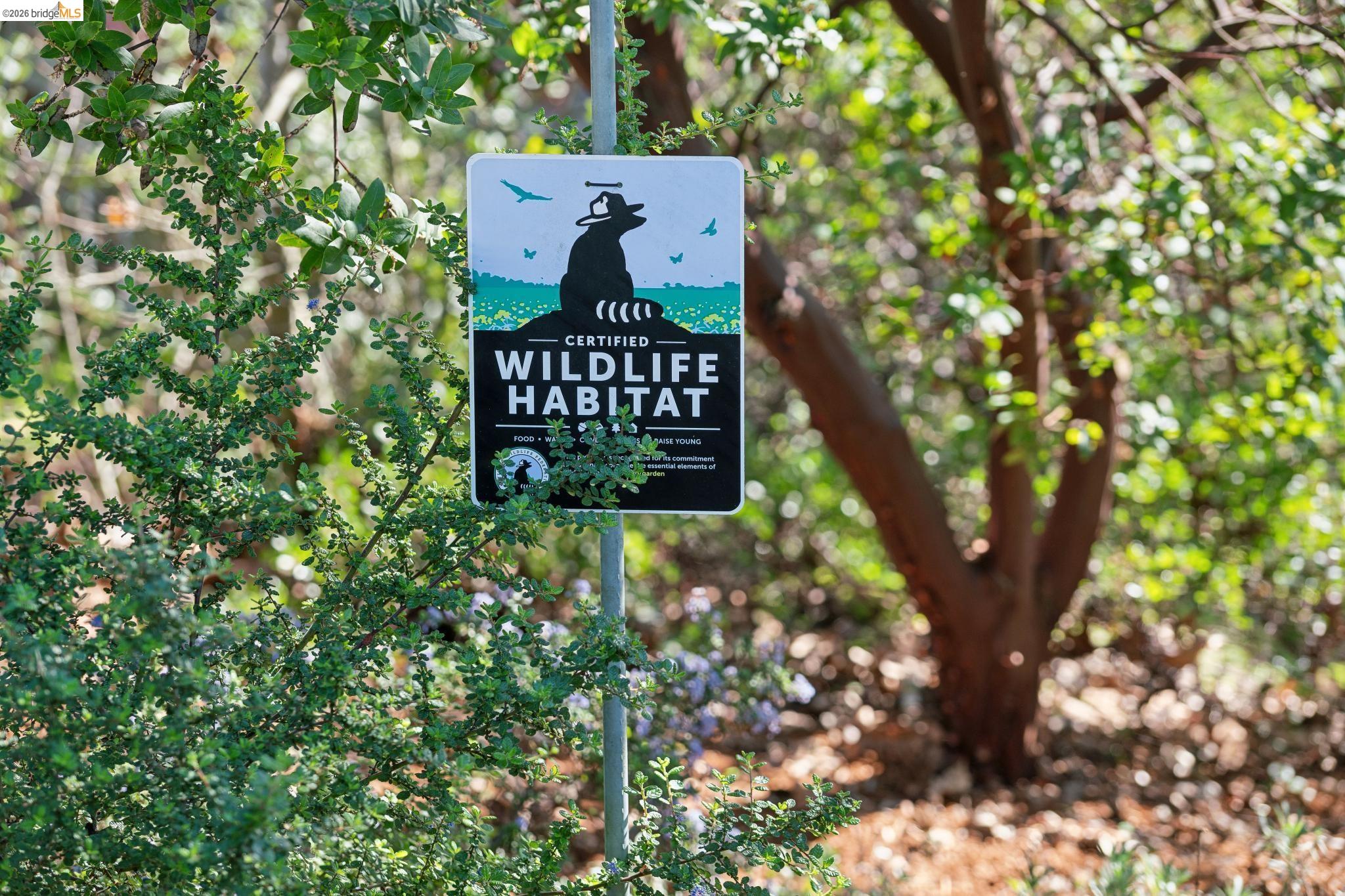890 Keeler Avenue Berkeley, CA 94708 - Photo 7 of 39 a view of a sign in a yard