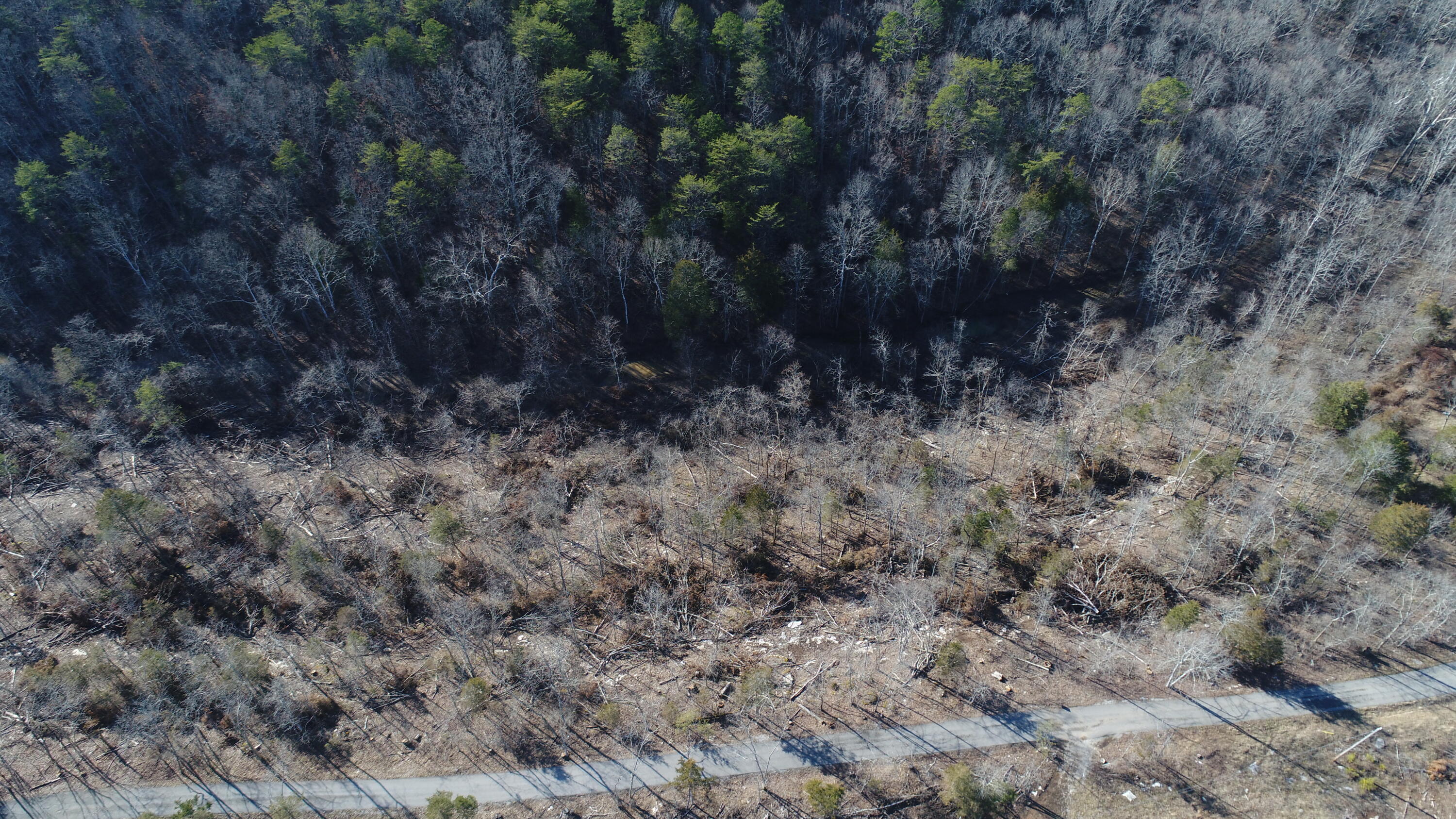 200 Coal Pit Road Somerset, KY 42501 - Photo 9 of 9 DJI_0636