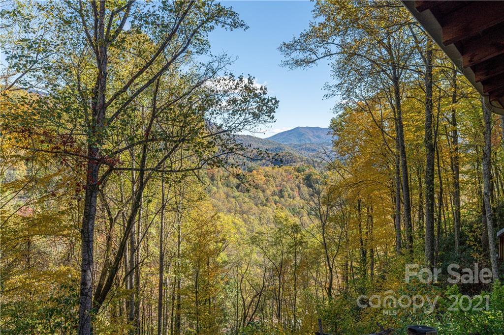 1595 Kitchens Branch Road Sylva, NC 28779 - Photo 2 of 45 a view of a yard