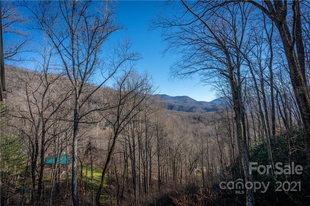 1595 Kitchens Branch Road Sylva, NC 28779 - Photo 44 of 45