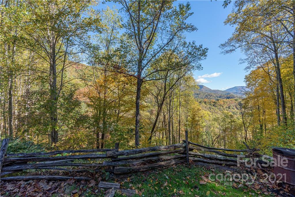 1595 Kitchens Branch Road Sylva, NC 28779 - Photo 8 of 45 a backyard of a house with lots of green space