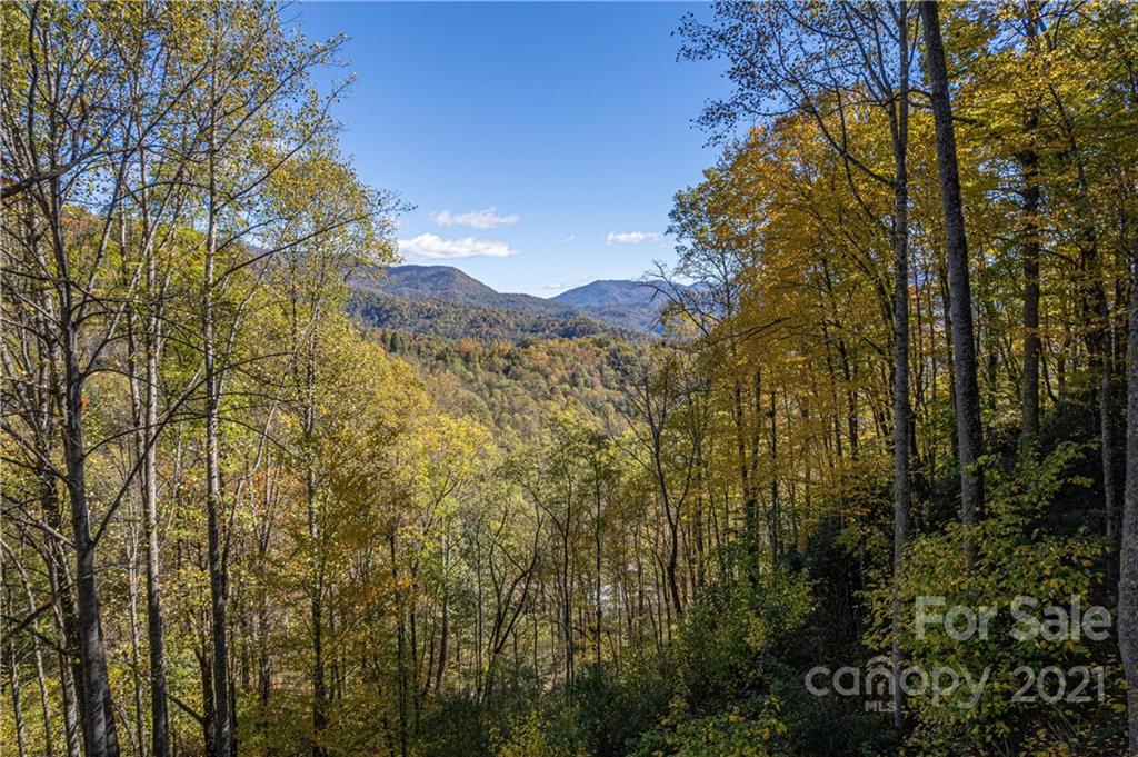 1595 Kitchens Branch Road Sylva, NC 28779 - Photo 10 of 45 a view of a forest with a mountain in the background