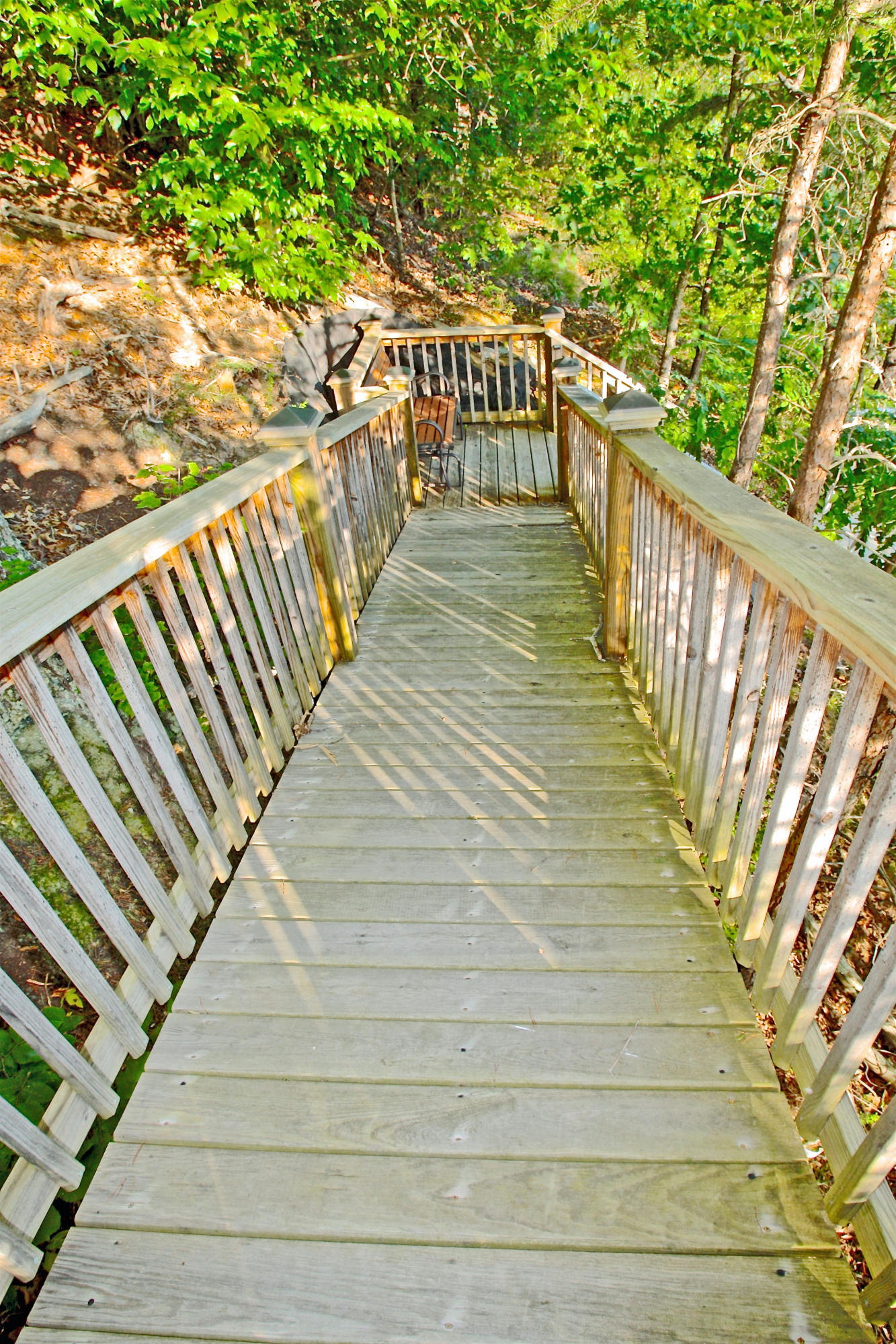 565 Garrison Ridge Pittsville, VA 24139 - Photo 83 of 108 4V4B6321
