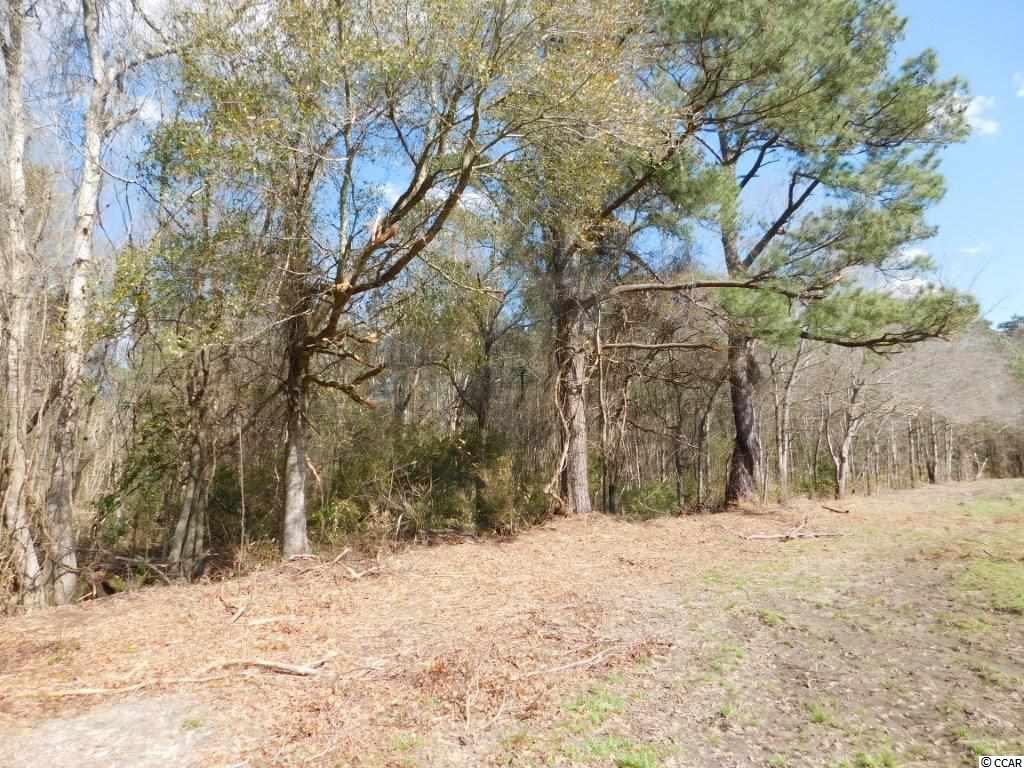 77.24 Highway 9 Loris, SC 29569 - Photo 3 of 4 Gallery Image 3