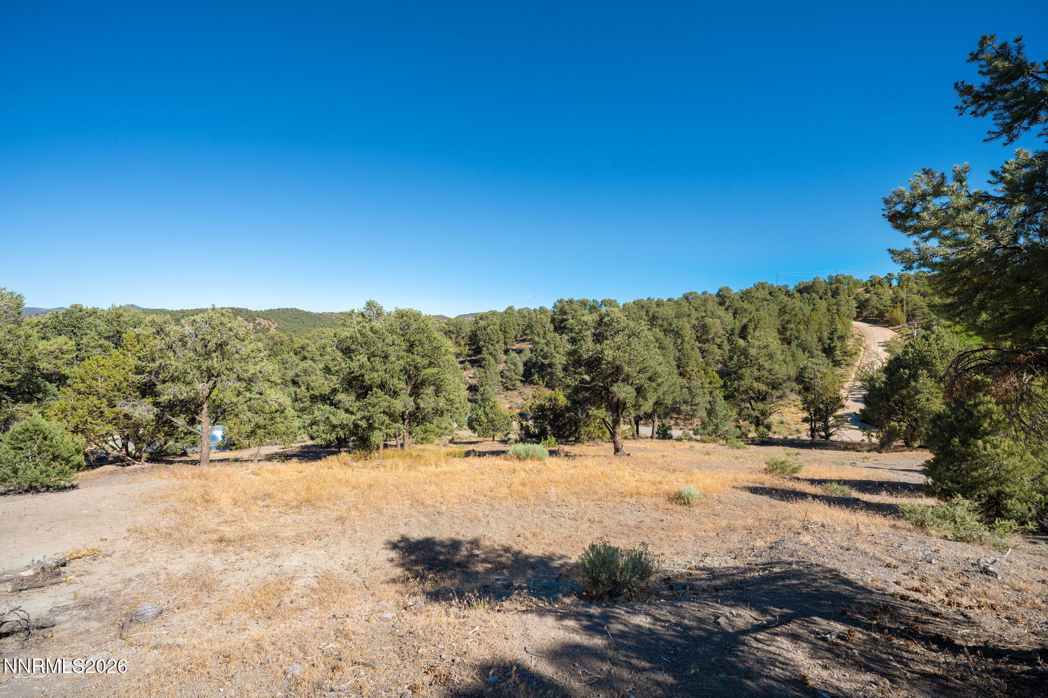 21630 Sazarac Road Reno, NV 89521 - Photo 2 of 21 4-web-or-mls-A7402376