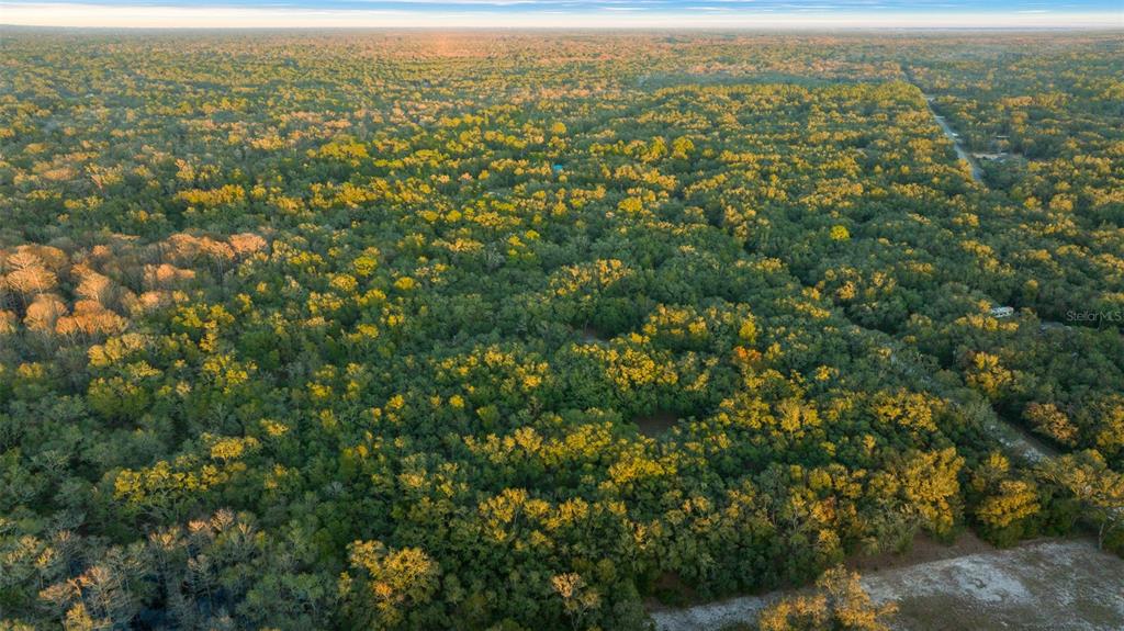 Tbd Rimrock Street Webster, FL 33597 - Photo 23 of 24 Gallery Image 23
