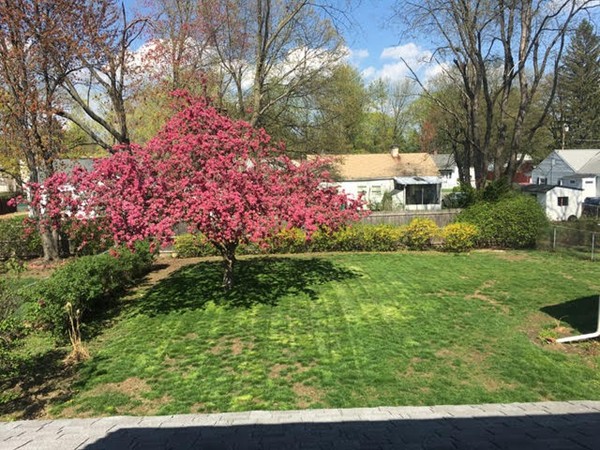 99 Merrimac Avenue Springfield, MA 01104 - Photo 23 of 23 a view of a house with a yard and basketball court