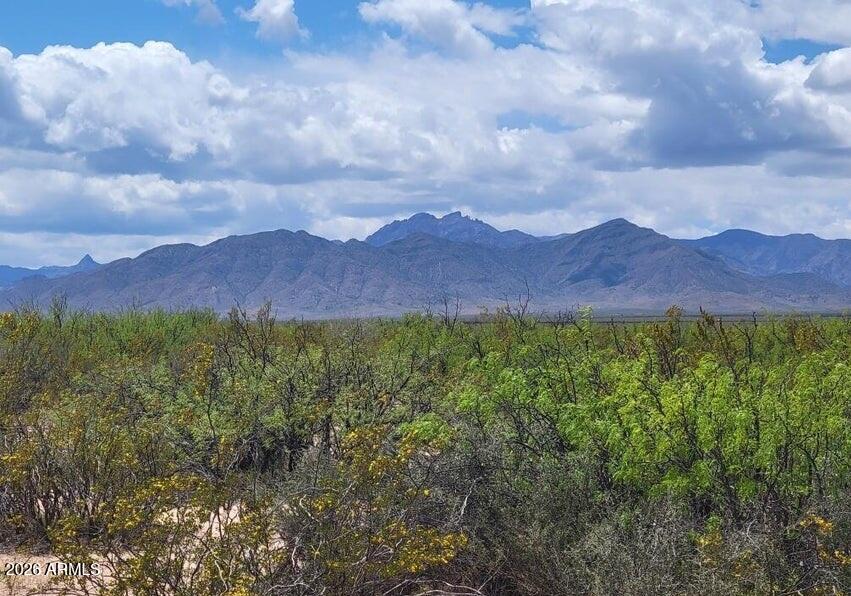 311 South Noland Road San Simon, AZ 85632 - Photo 6 of 9 311 N Noland RD