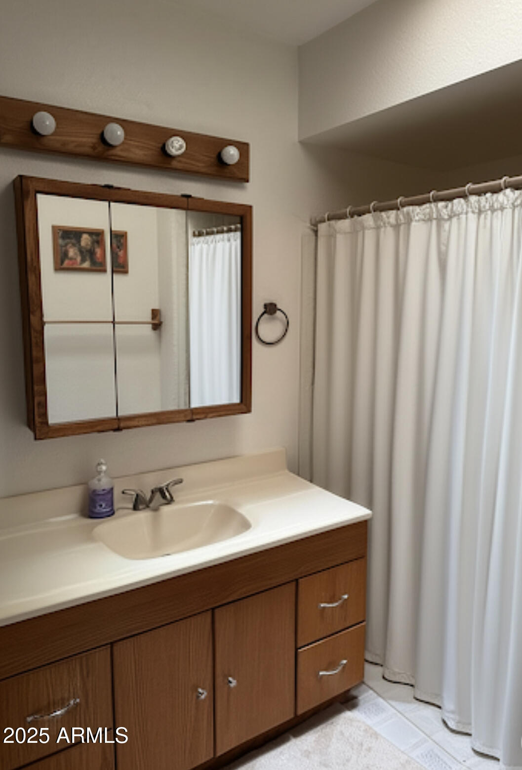 3695 West Double Adobe Road McNeal, AZ 85617 - Photo 11 of 26 Hall Bathroom