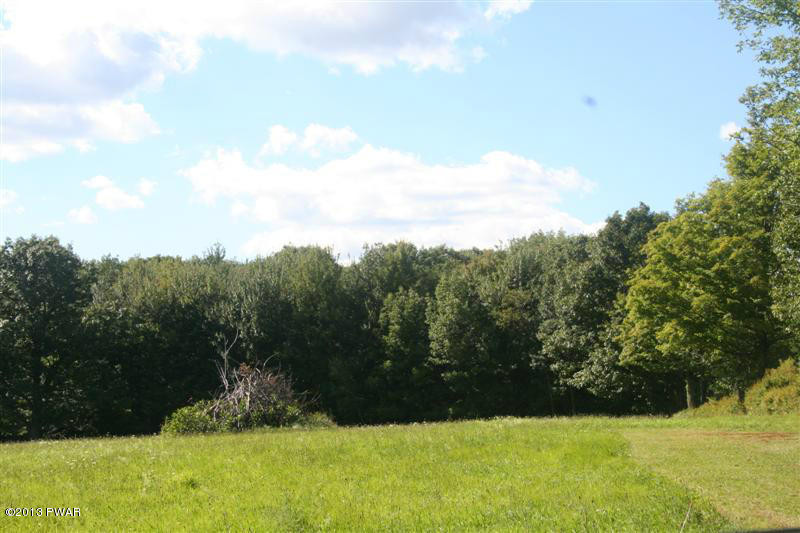 263 Lake Quinn Road Waymart, PA 18472 - Photo 36 of 50